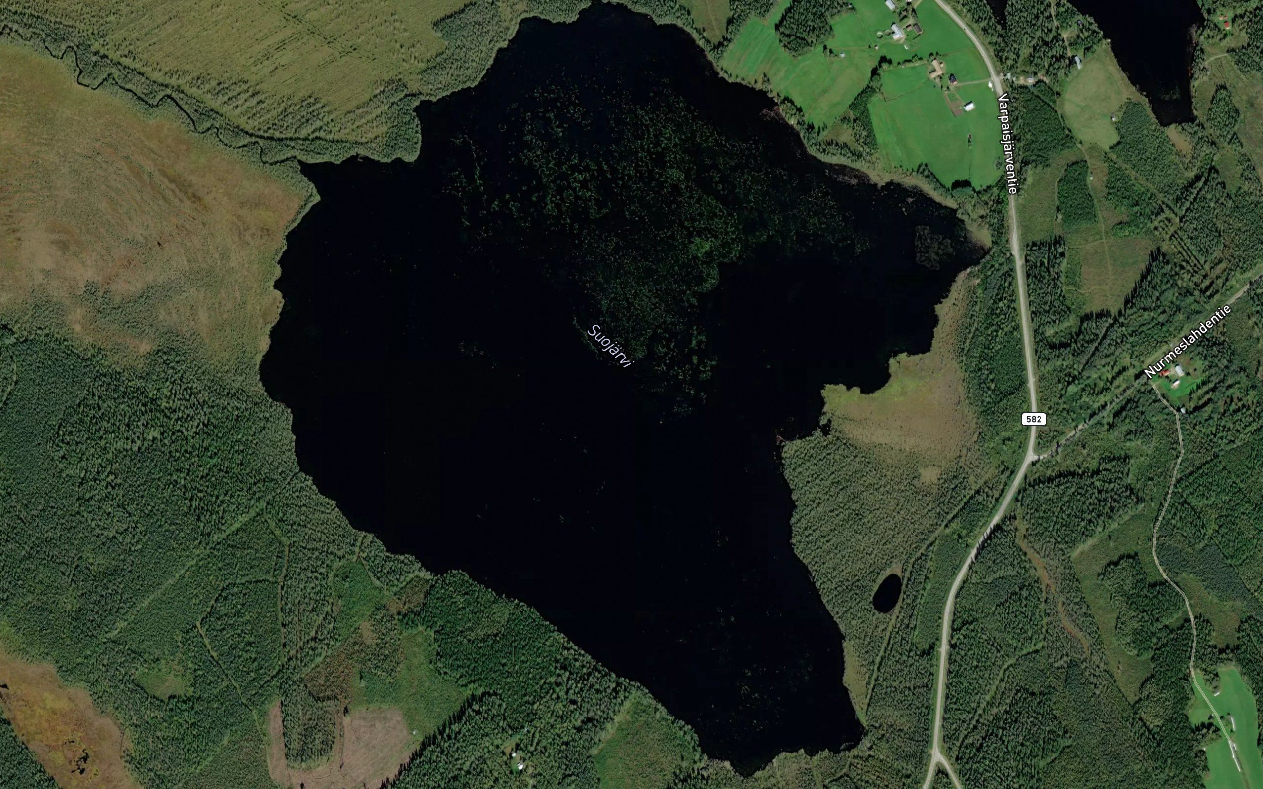 Suojarvi