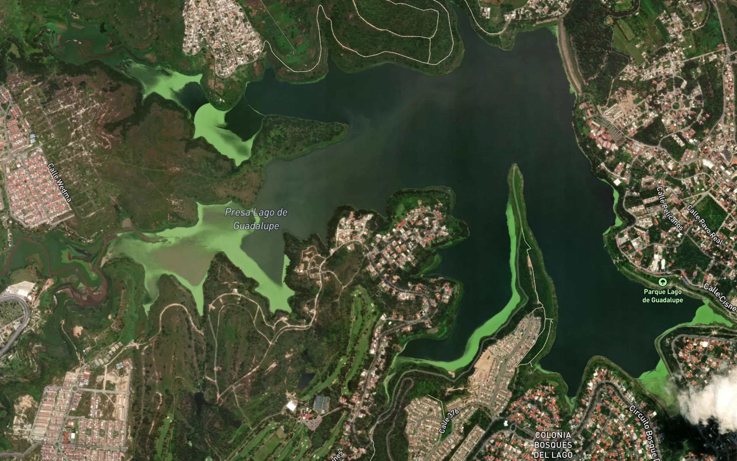 Presa Guadalupe