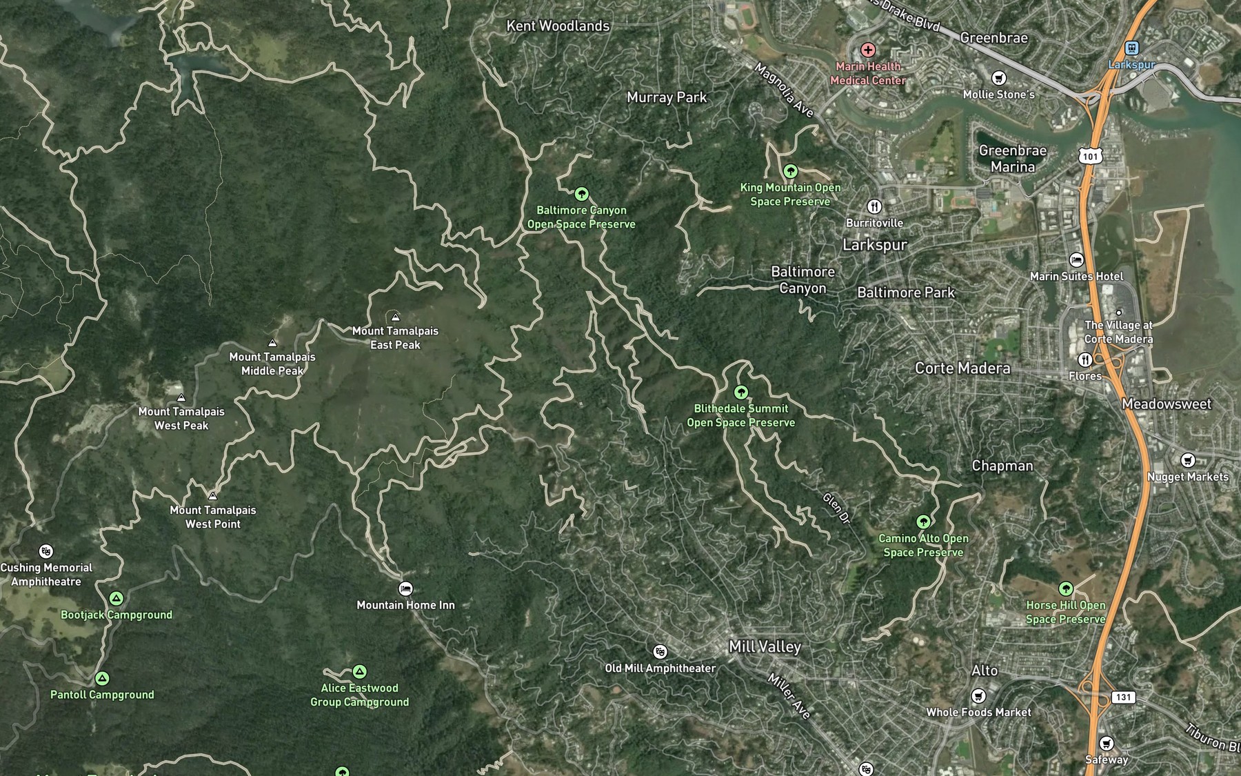 Satellite map of the Galena Creek