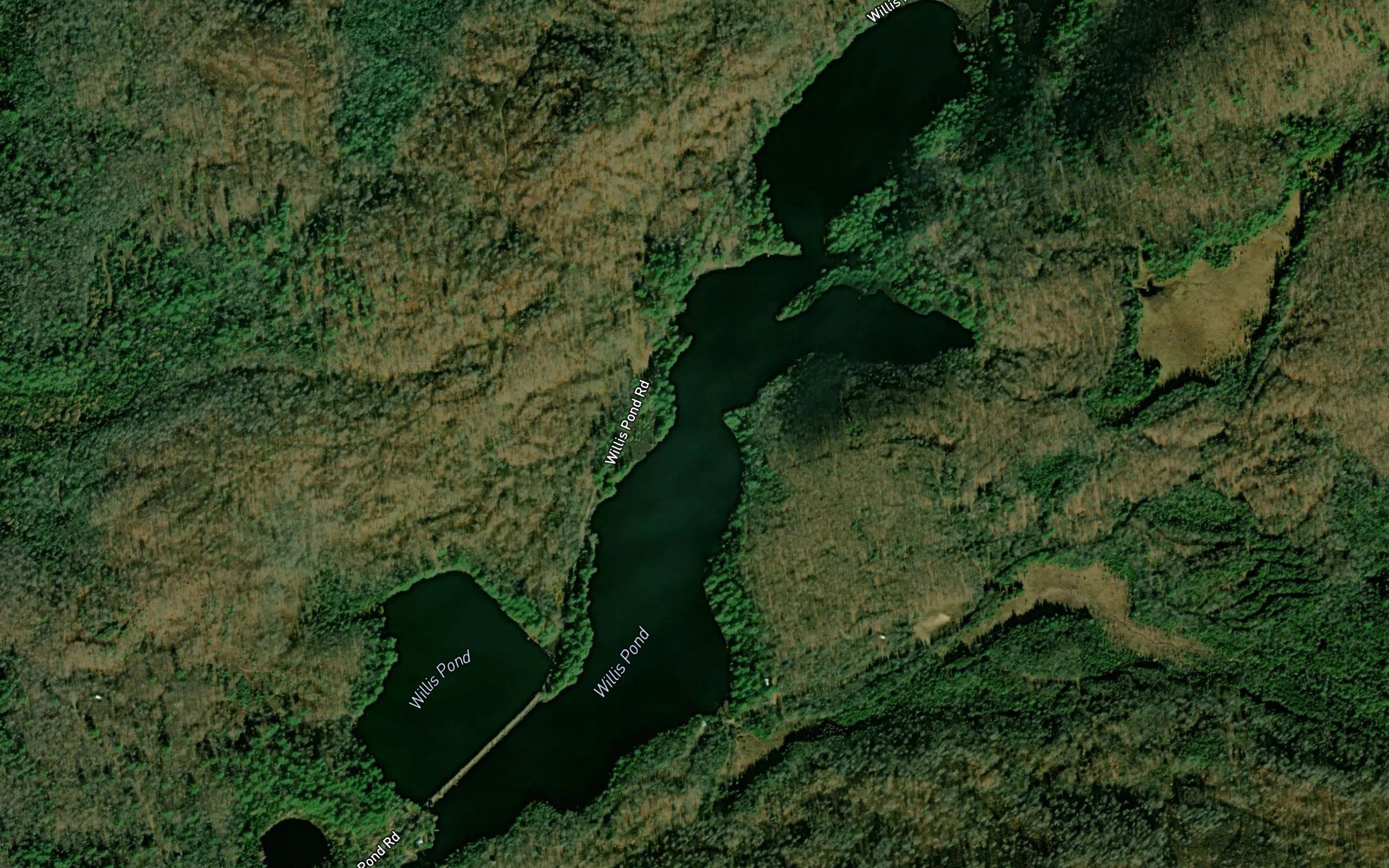 Willis Pond