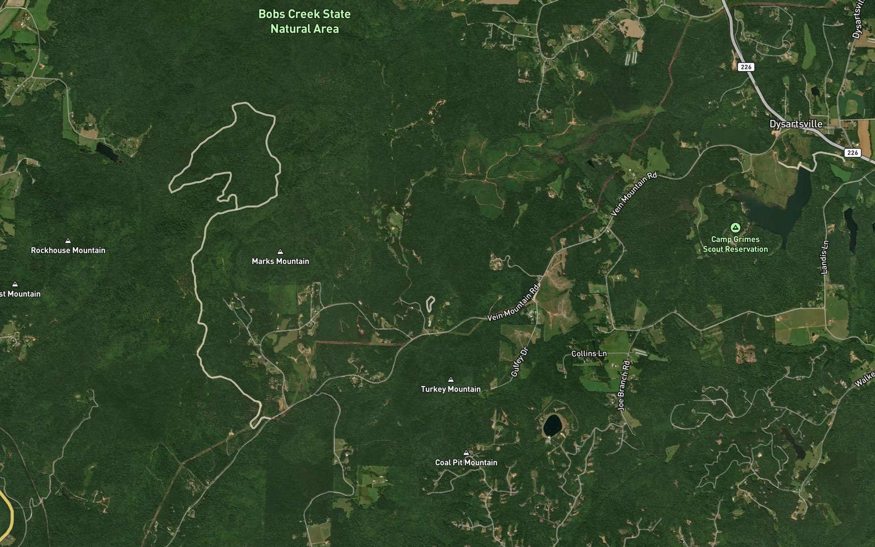 Satellite map of the Spruce Branch