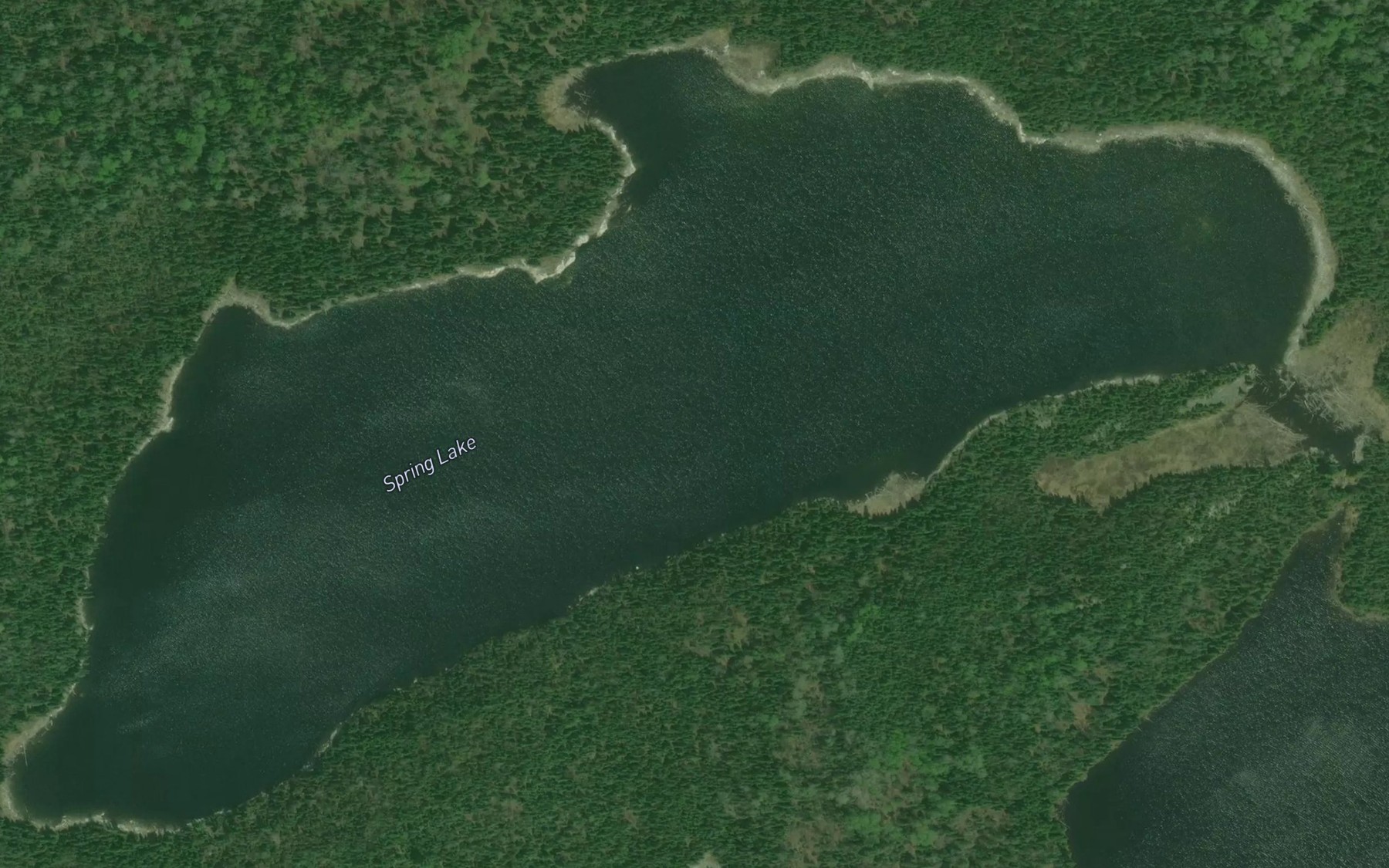 Satellite map of the Spring Lake