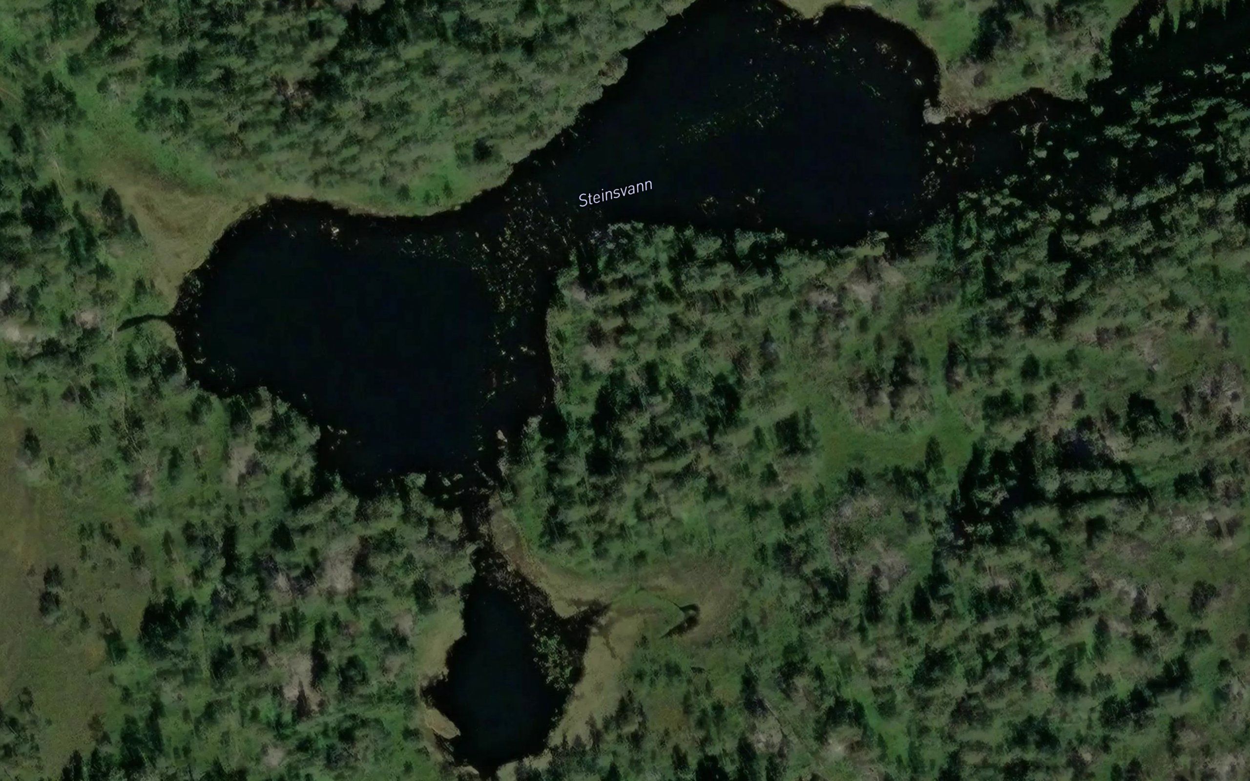 Steinsvann