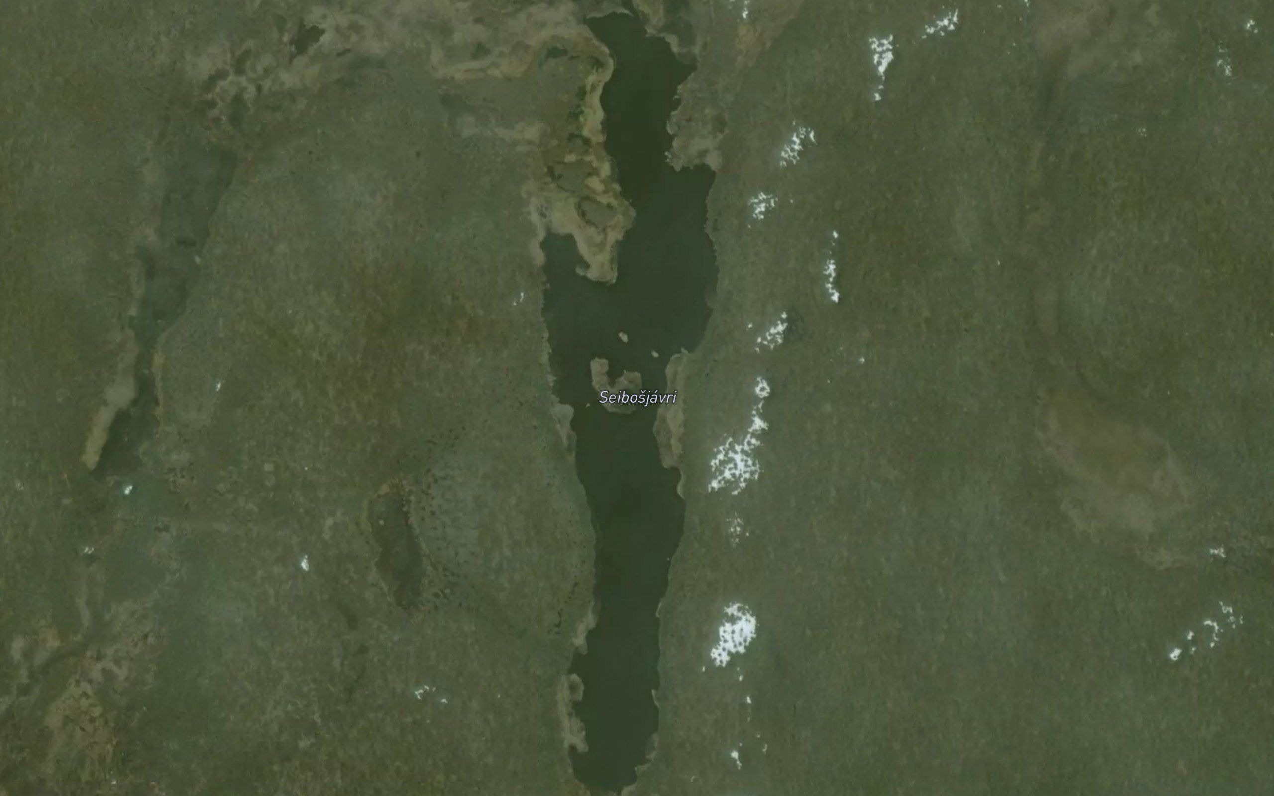 Seibusjavri