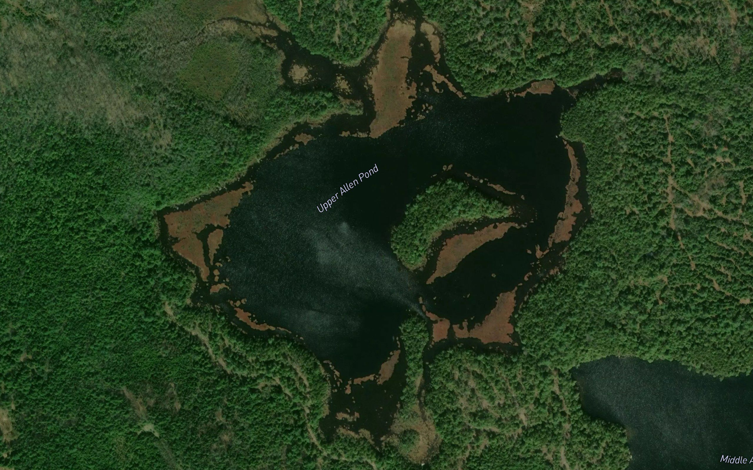 Upper Allen Pond