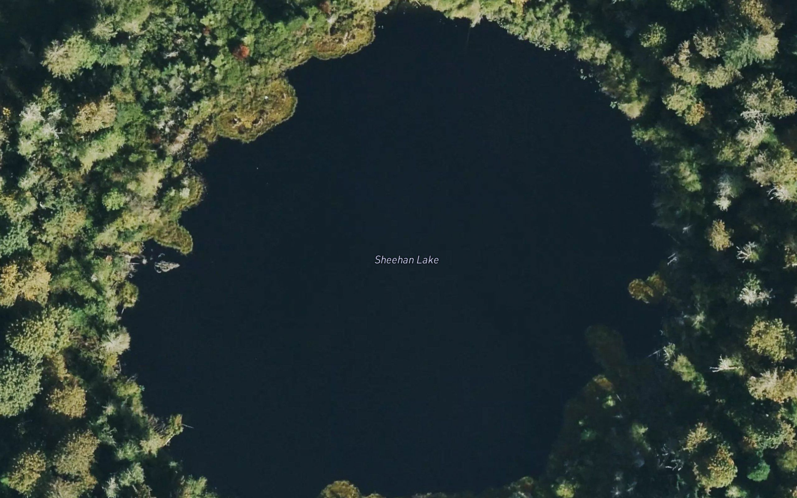 Sheehan Lake