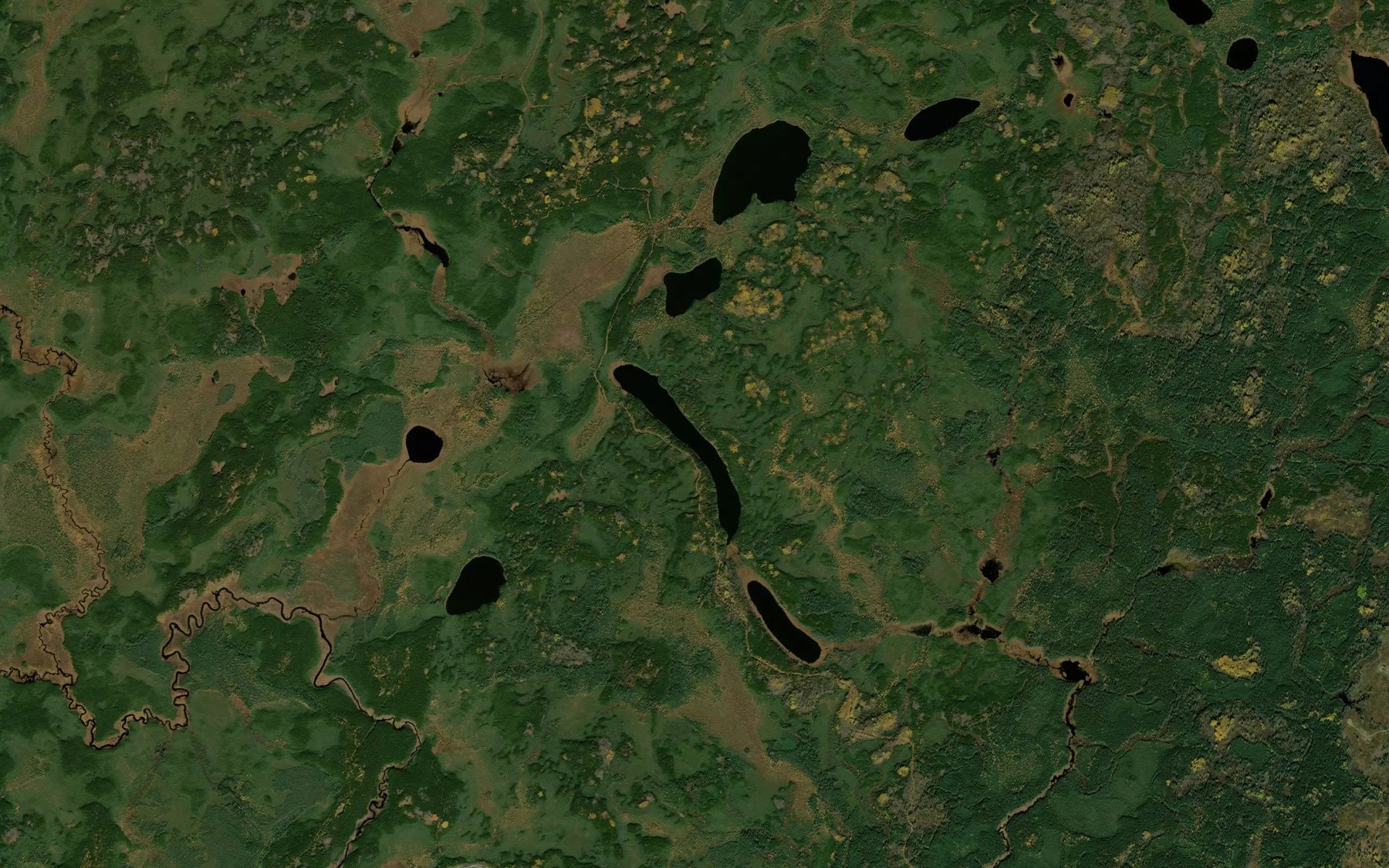Satellite map of the Olson Lake