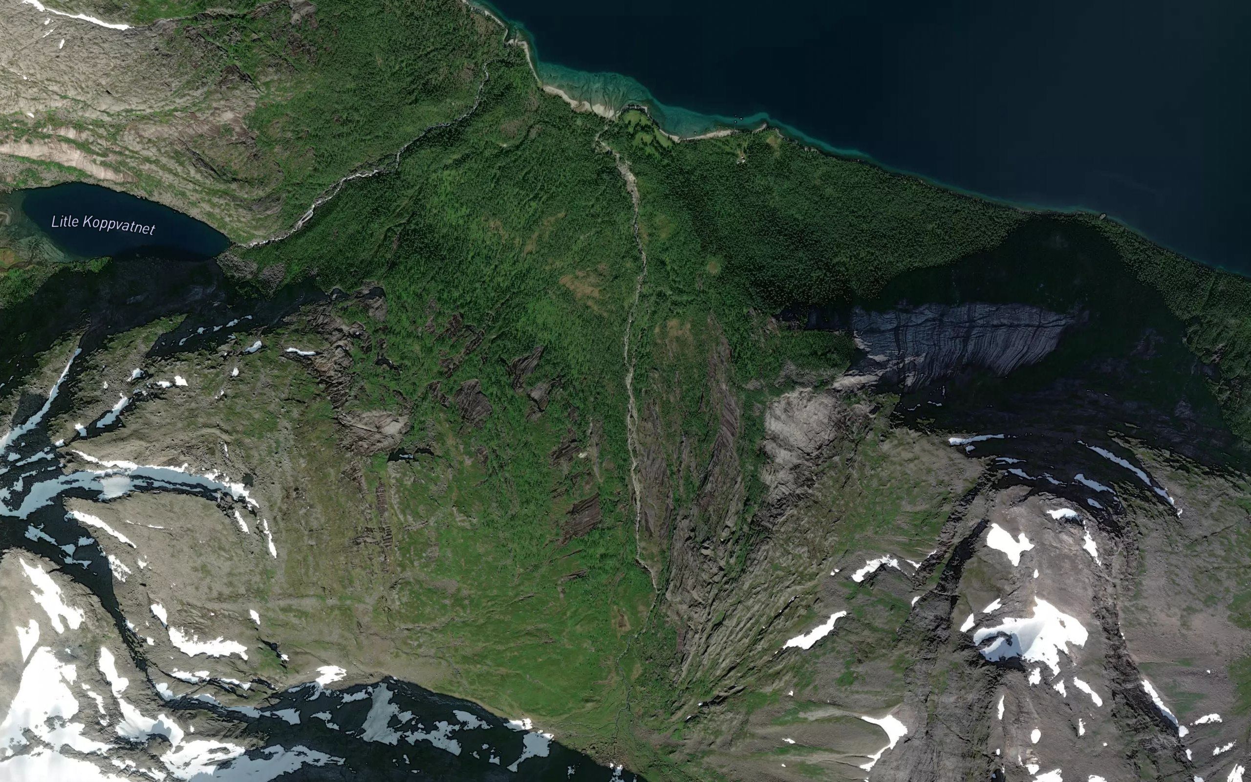 Tauselva
