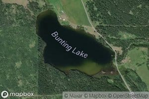 Bunting Lake