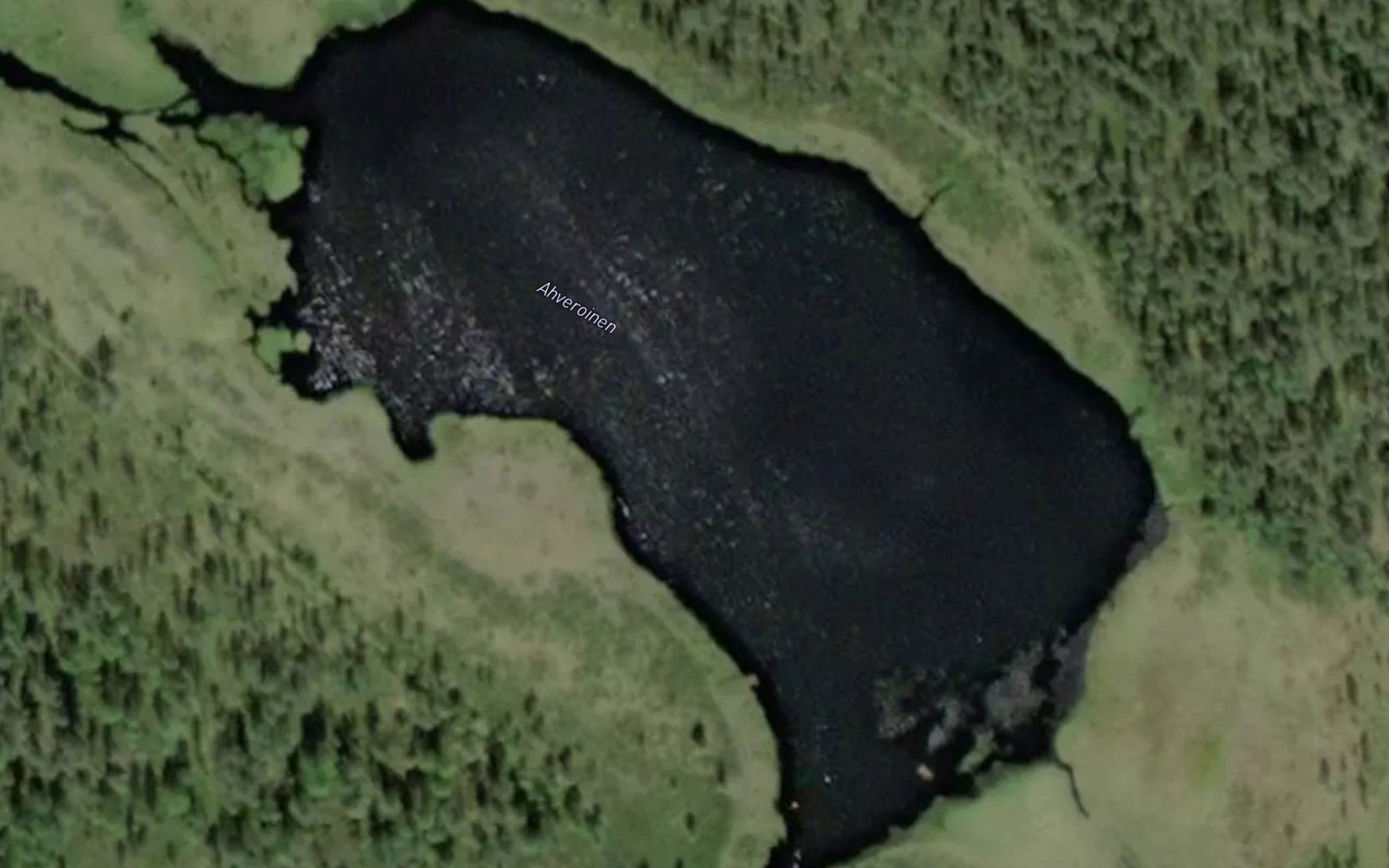 Ahveroinen