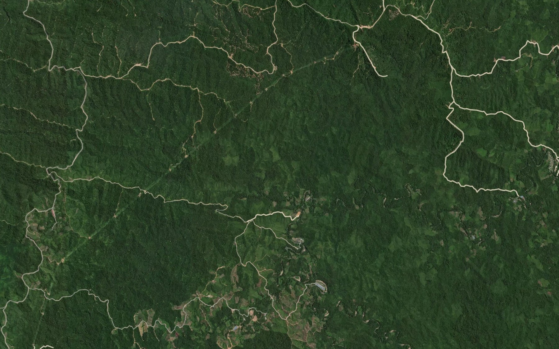 Satellite map of the Sungai Selepong