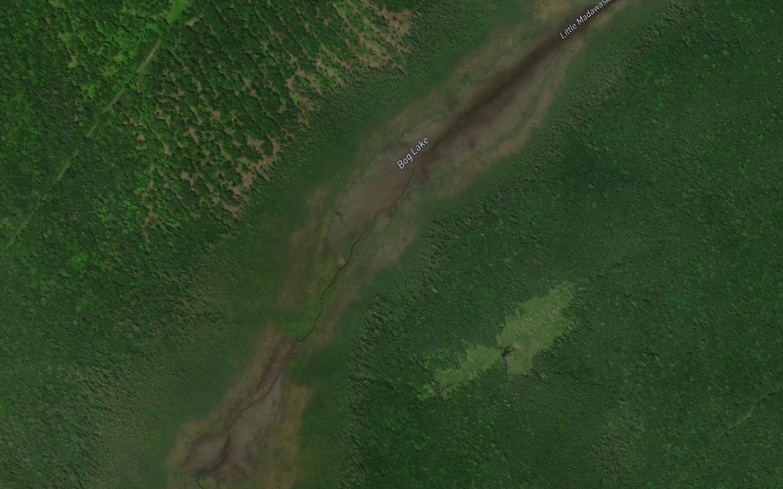 Bog Lake
