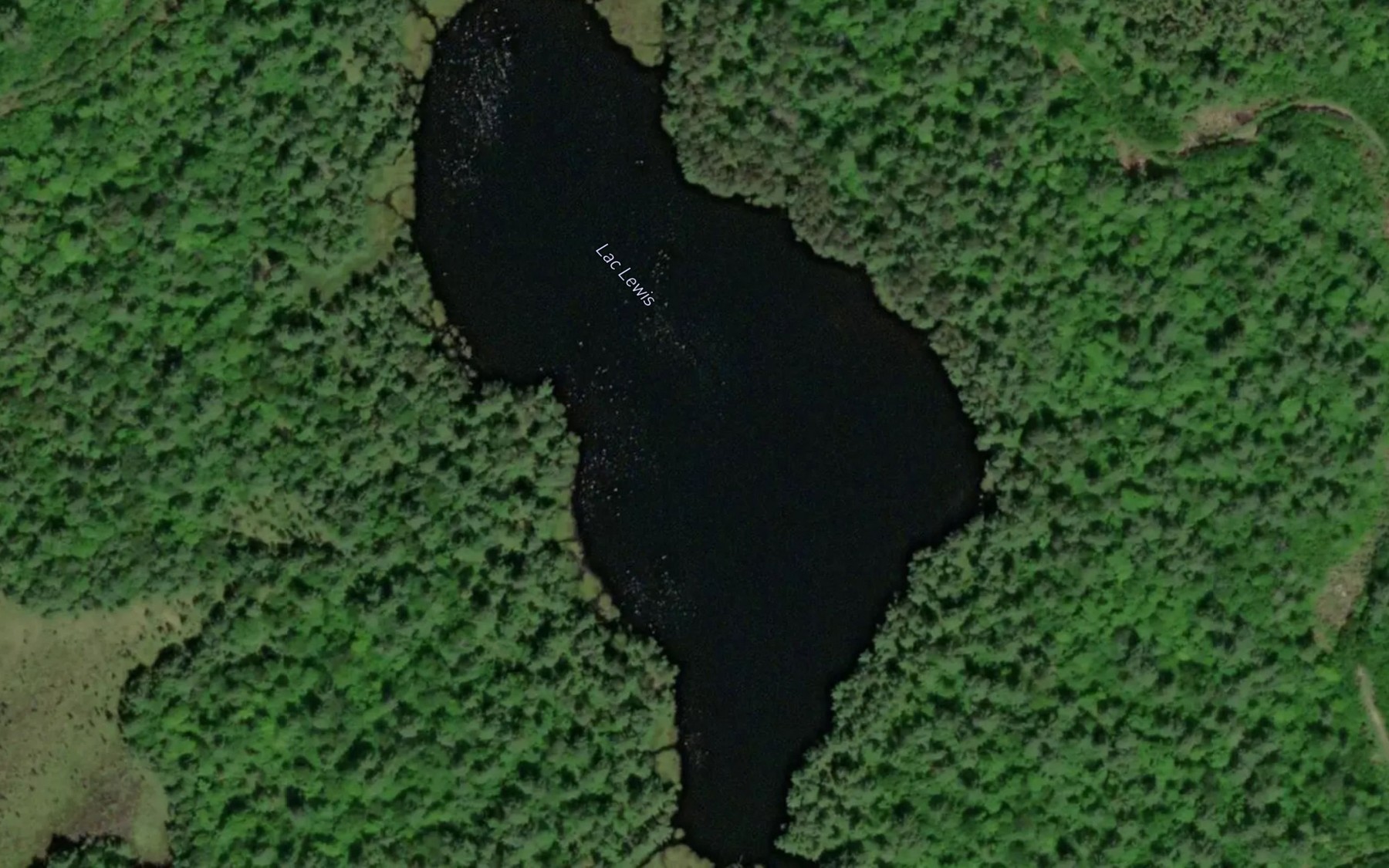 Satellite map of the Lac Lewis