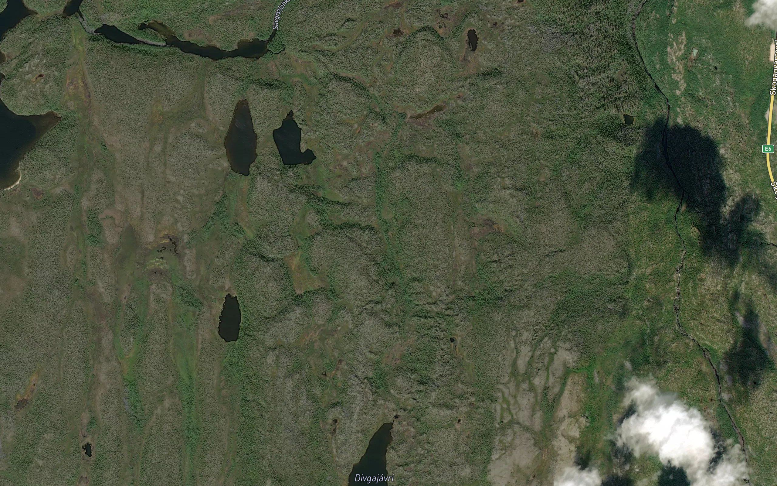 Divgajakka