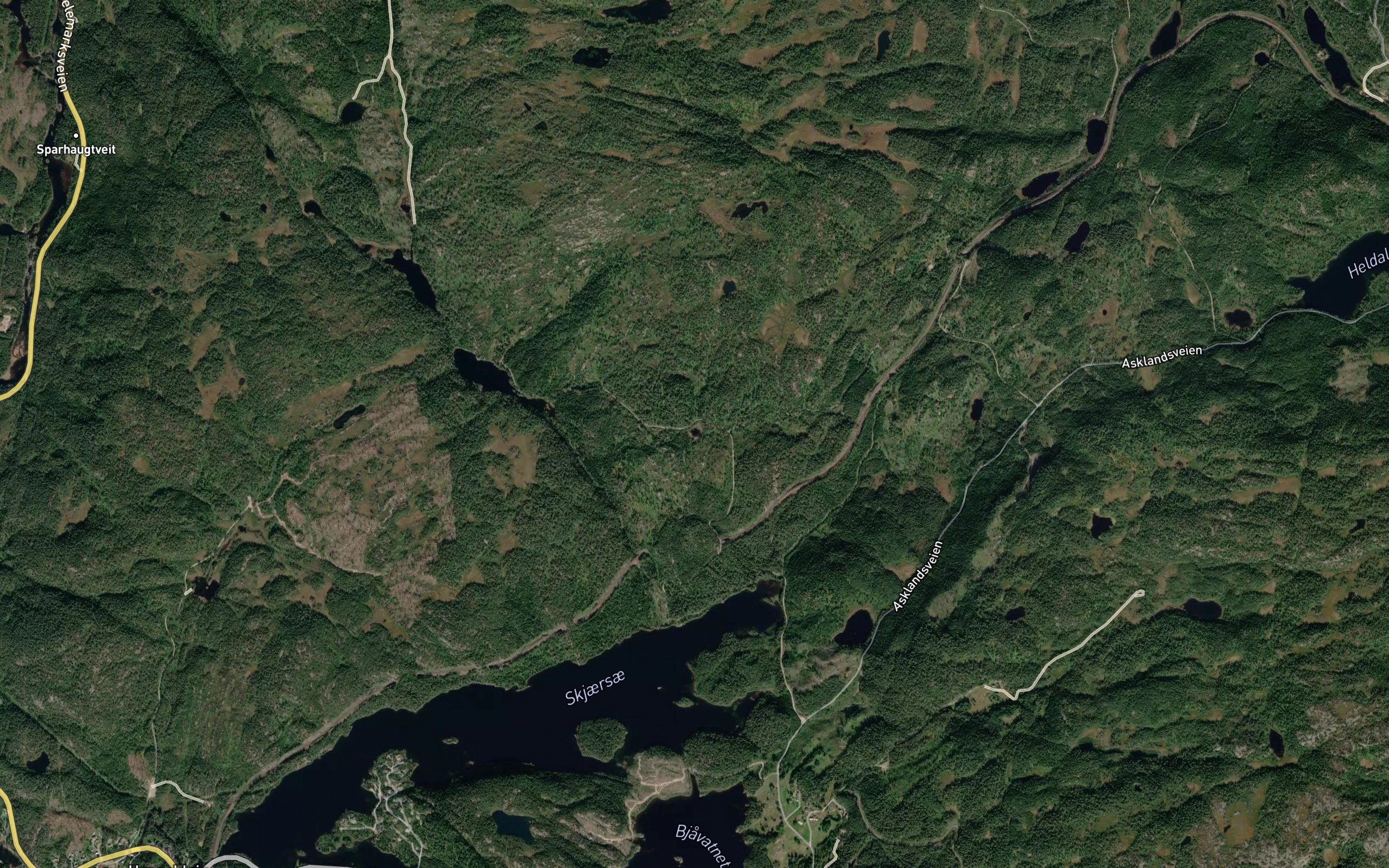 Vassbrekktjonna