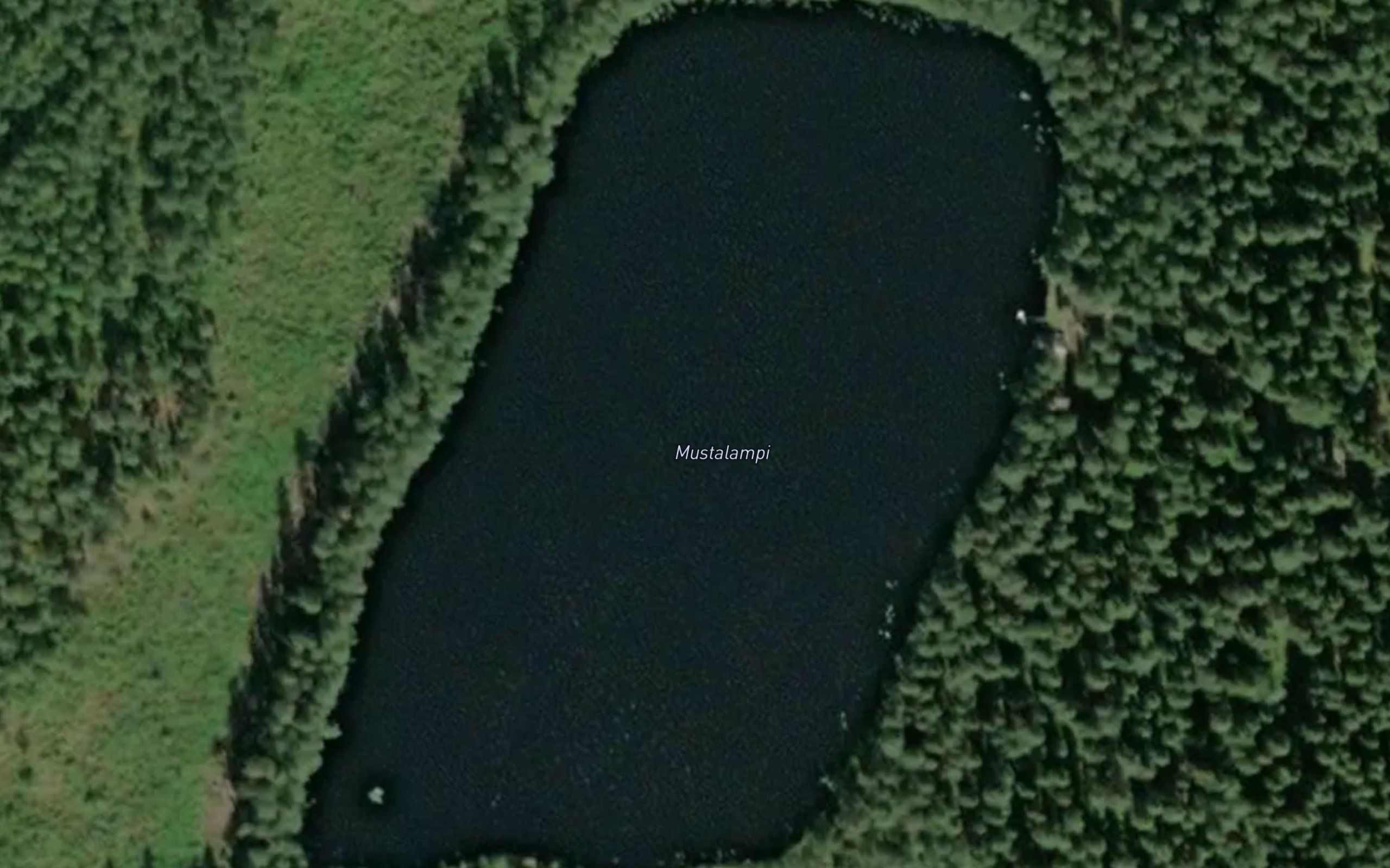 Mustalampi