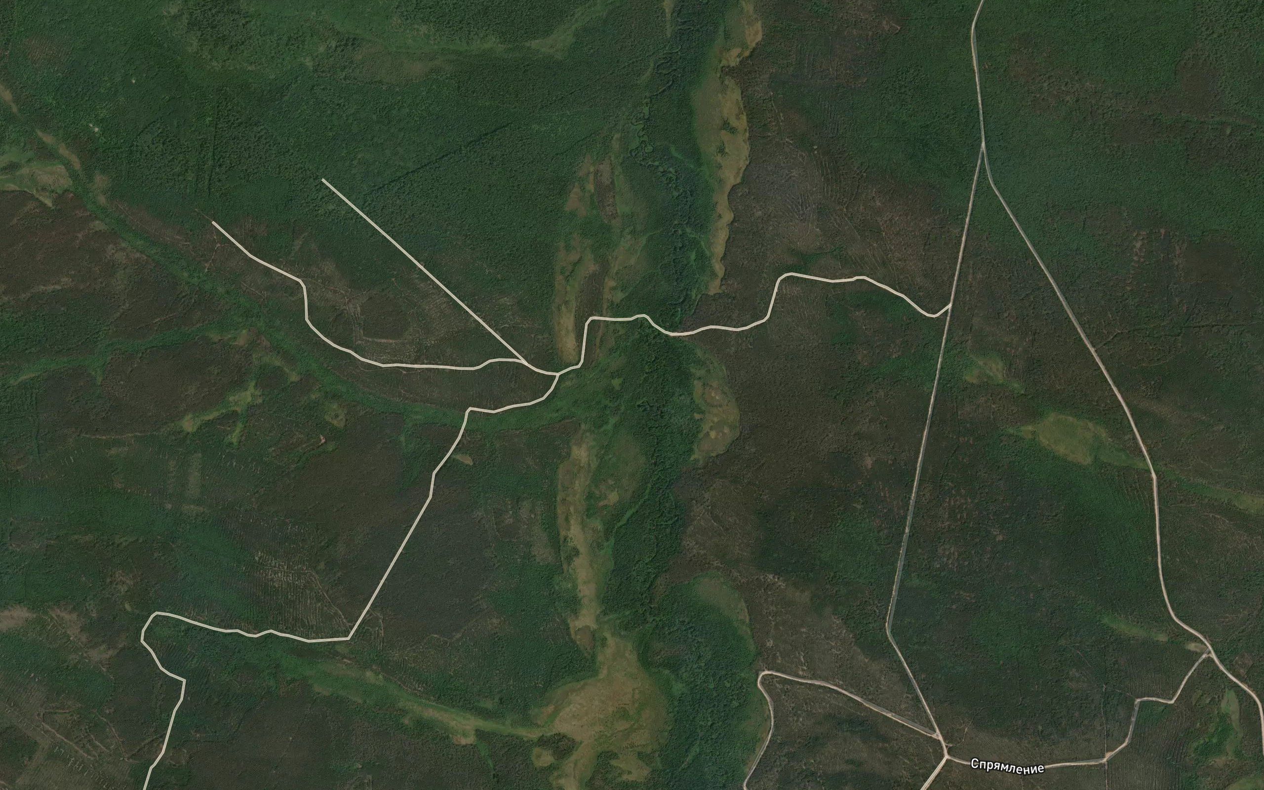 Kaltusnyy