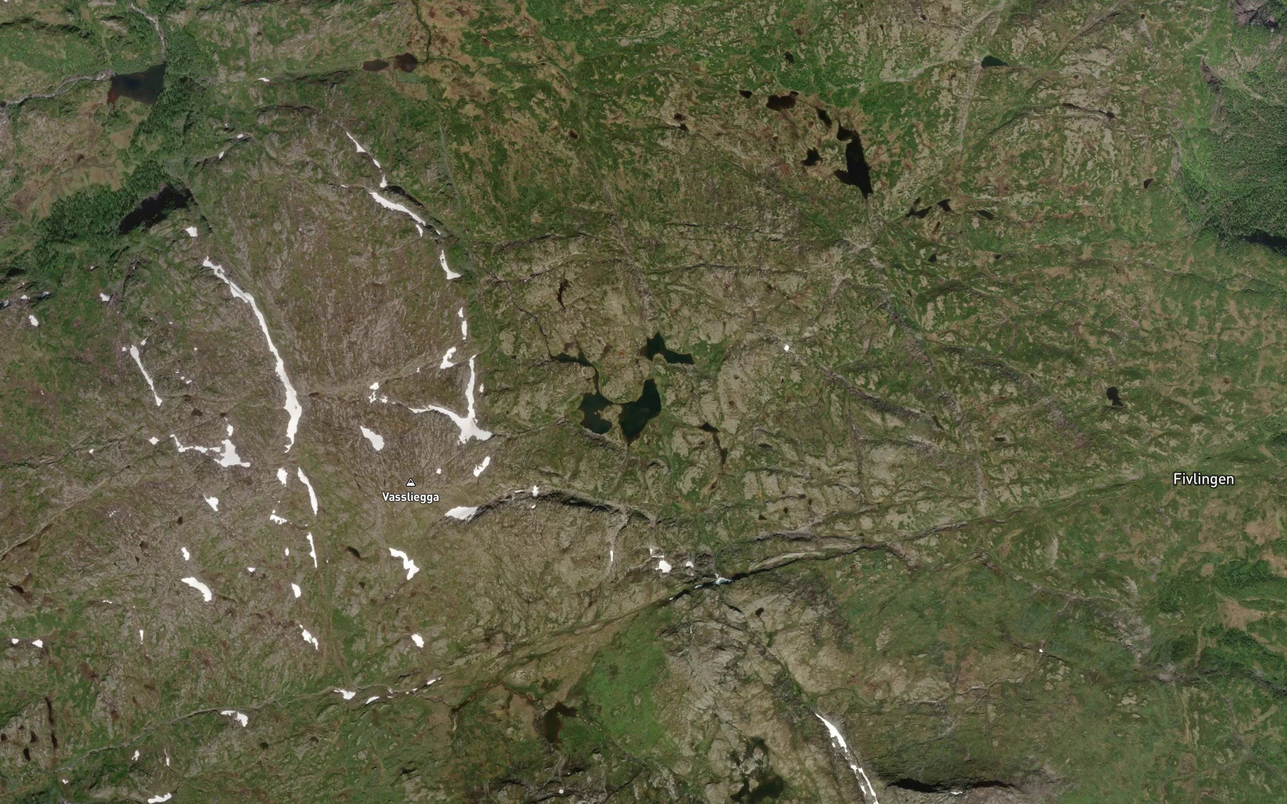 Kvannjoletjornane