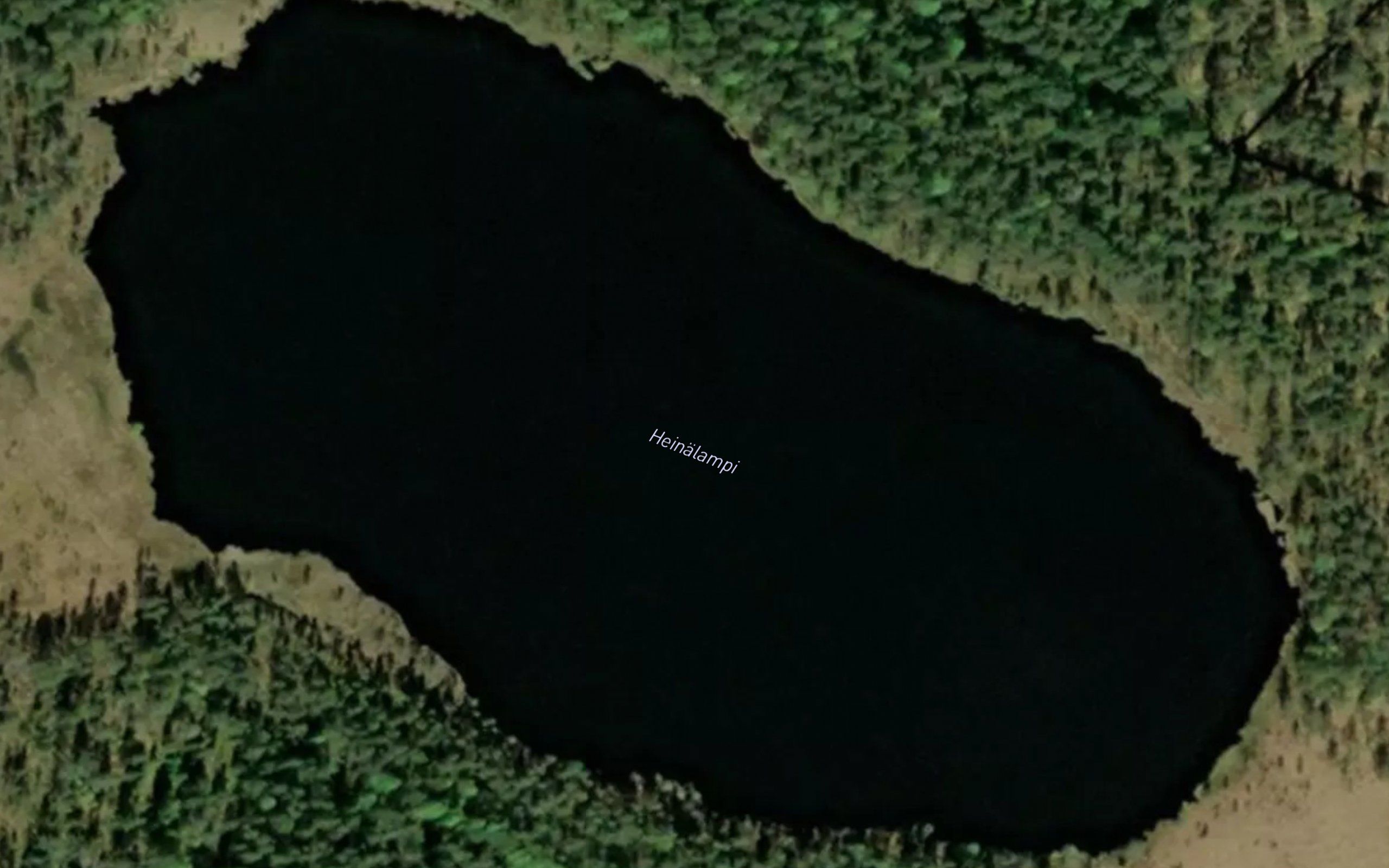 Heinalampi