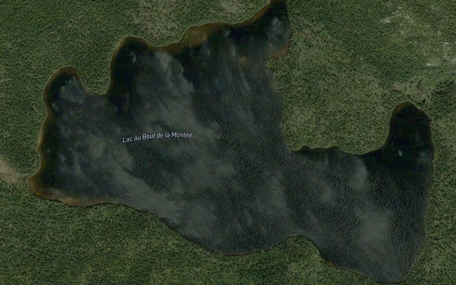 Satellite map of the Lac au Bout de la Montee