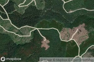Banana Creek