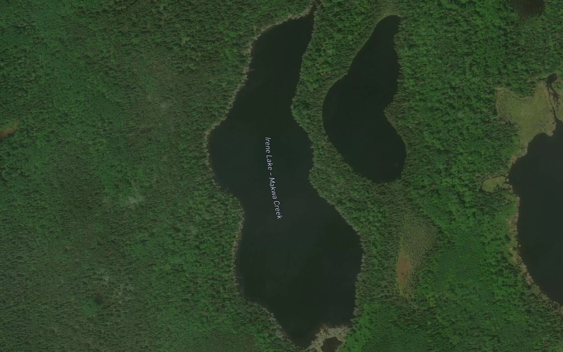 Satellite map of the Irene Lake