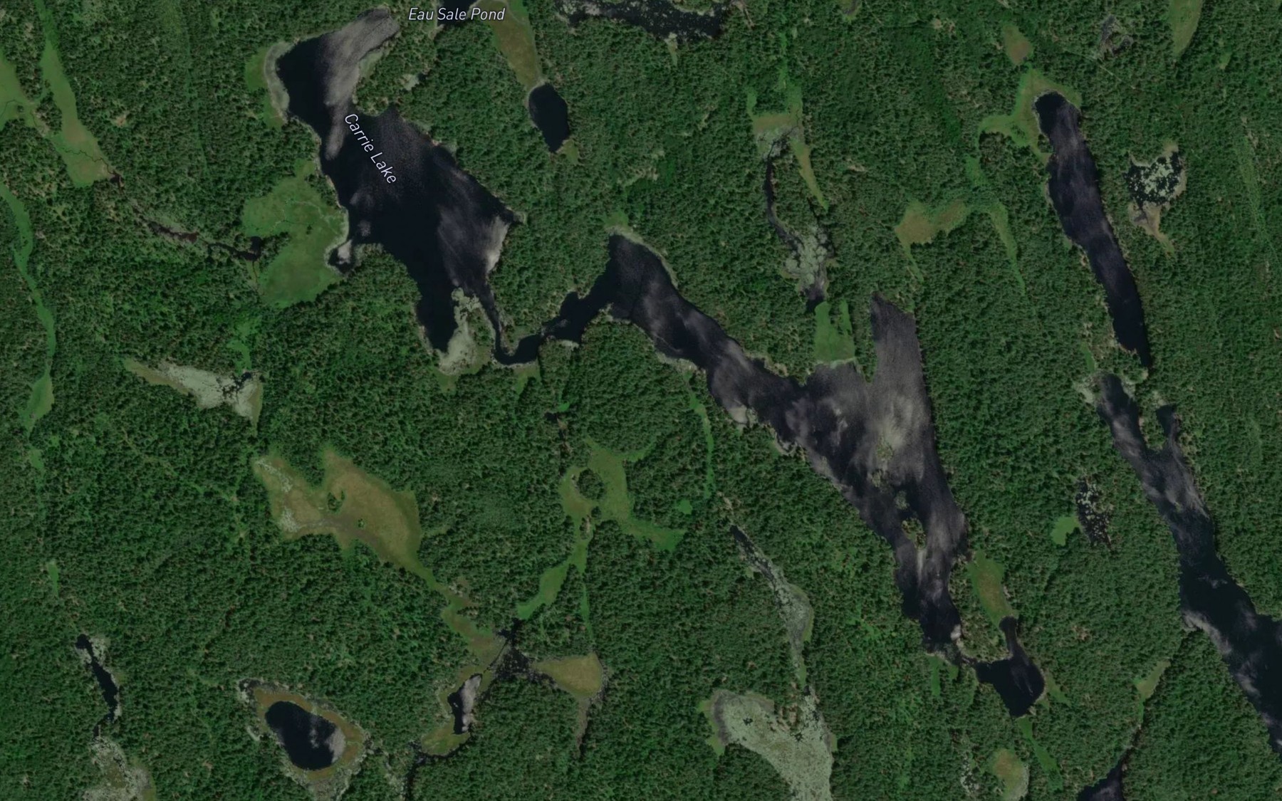 Satellite map of the Carrie Lake