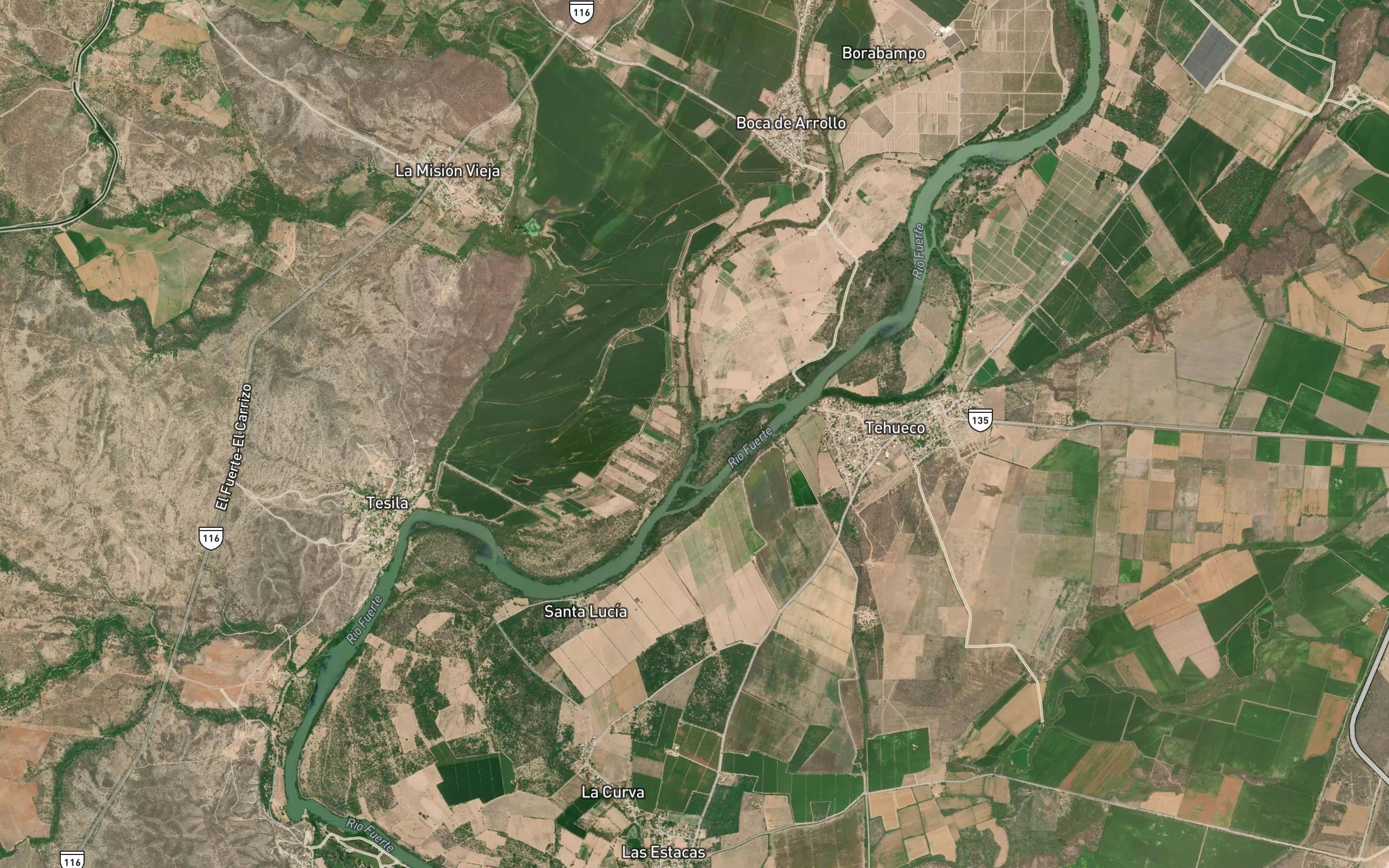Alamos