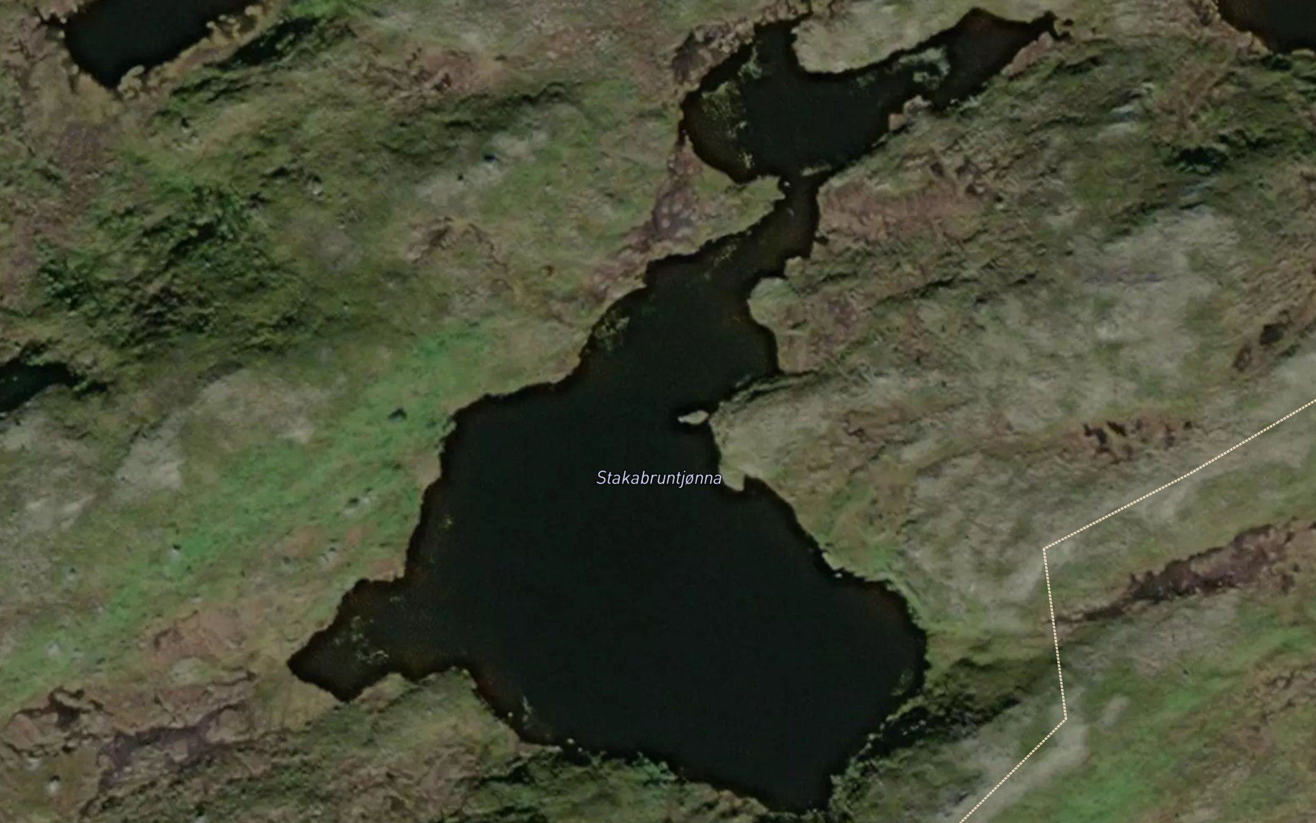 Stakabruntjonna