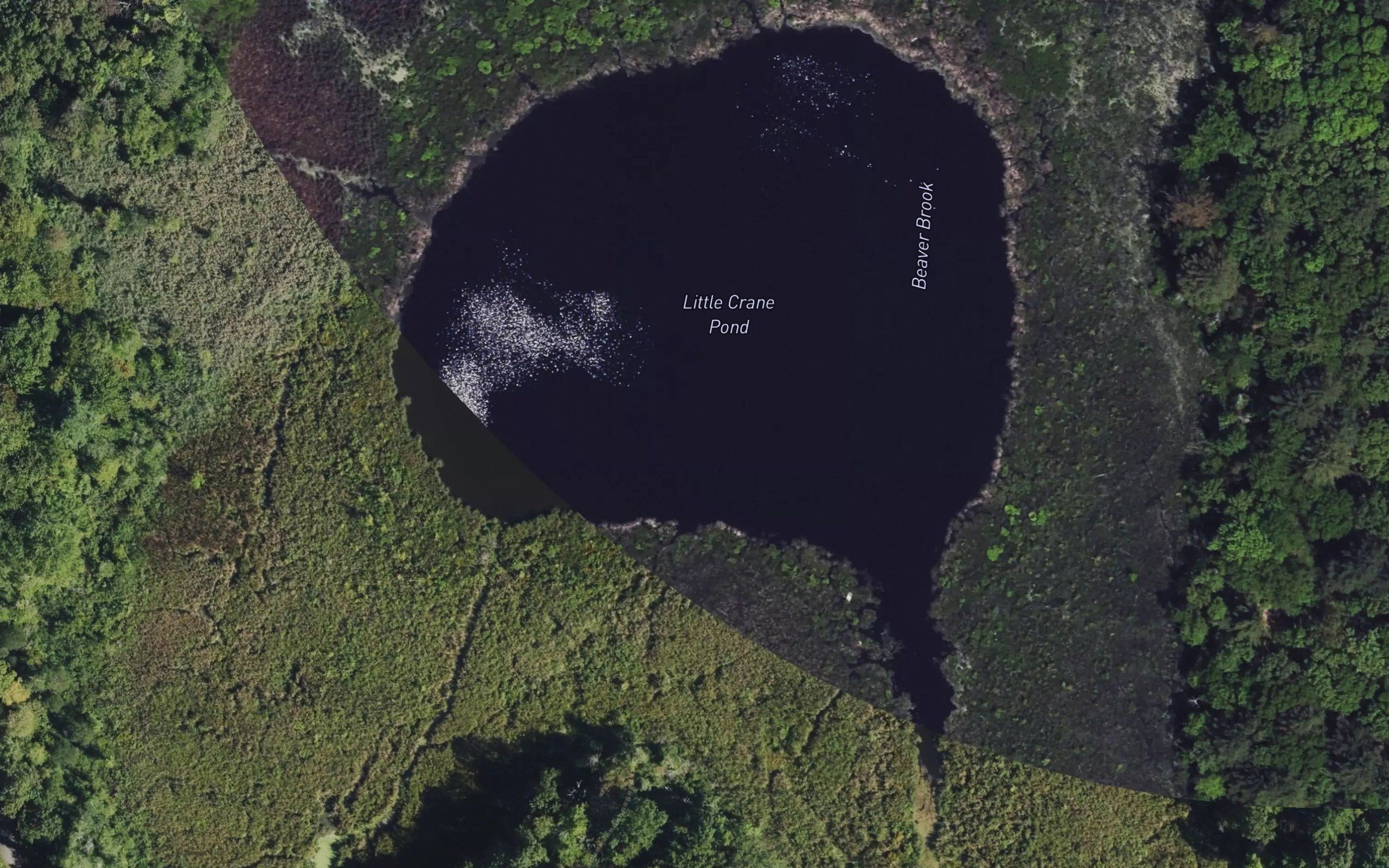 Little Crane Pond