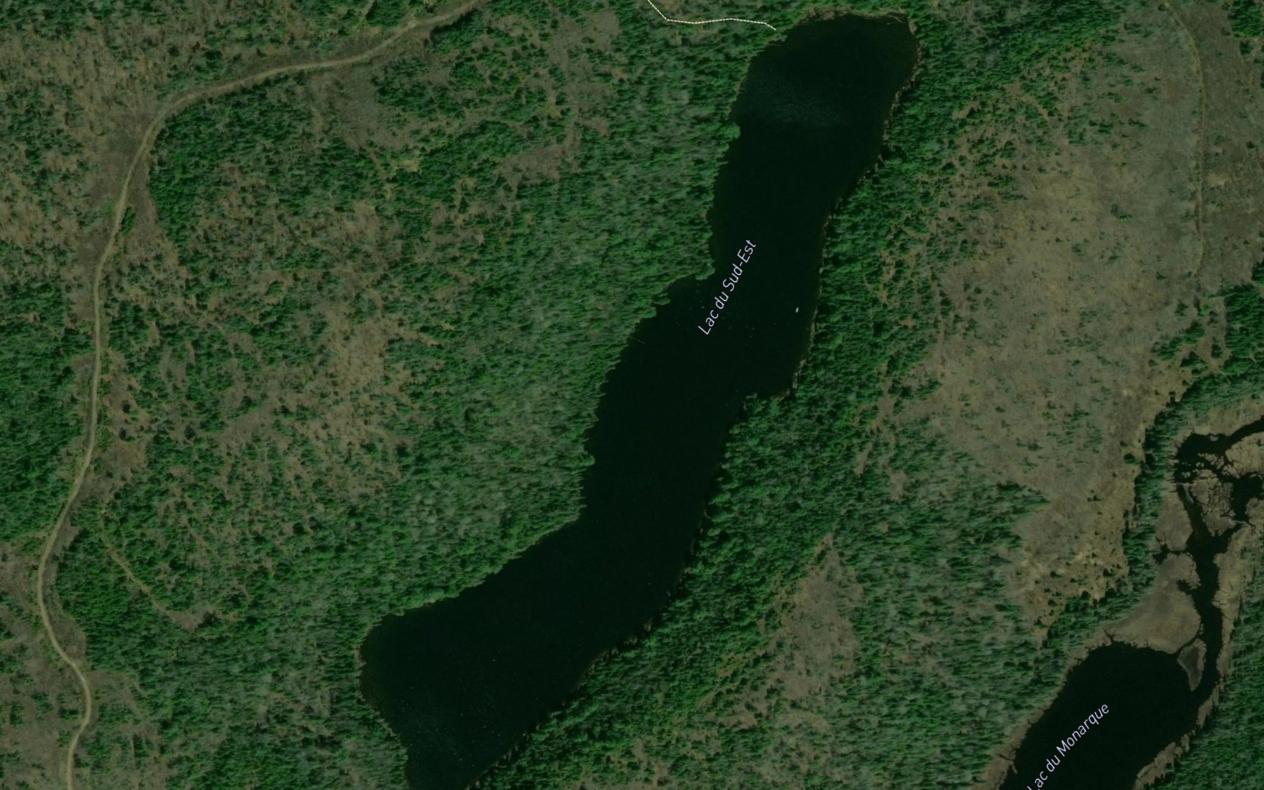 Satellite map of the Lac du Sud-Est