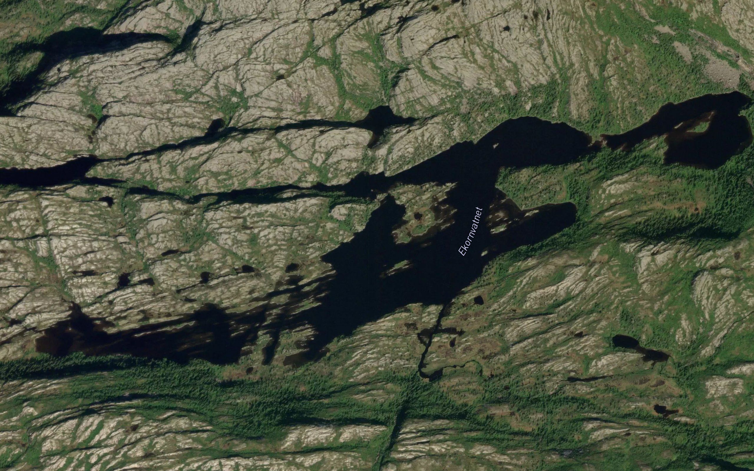 Ekornvatnet