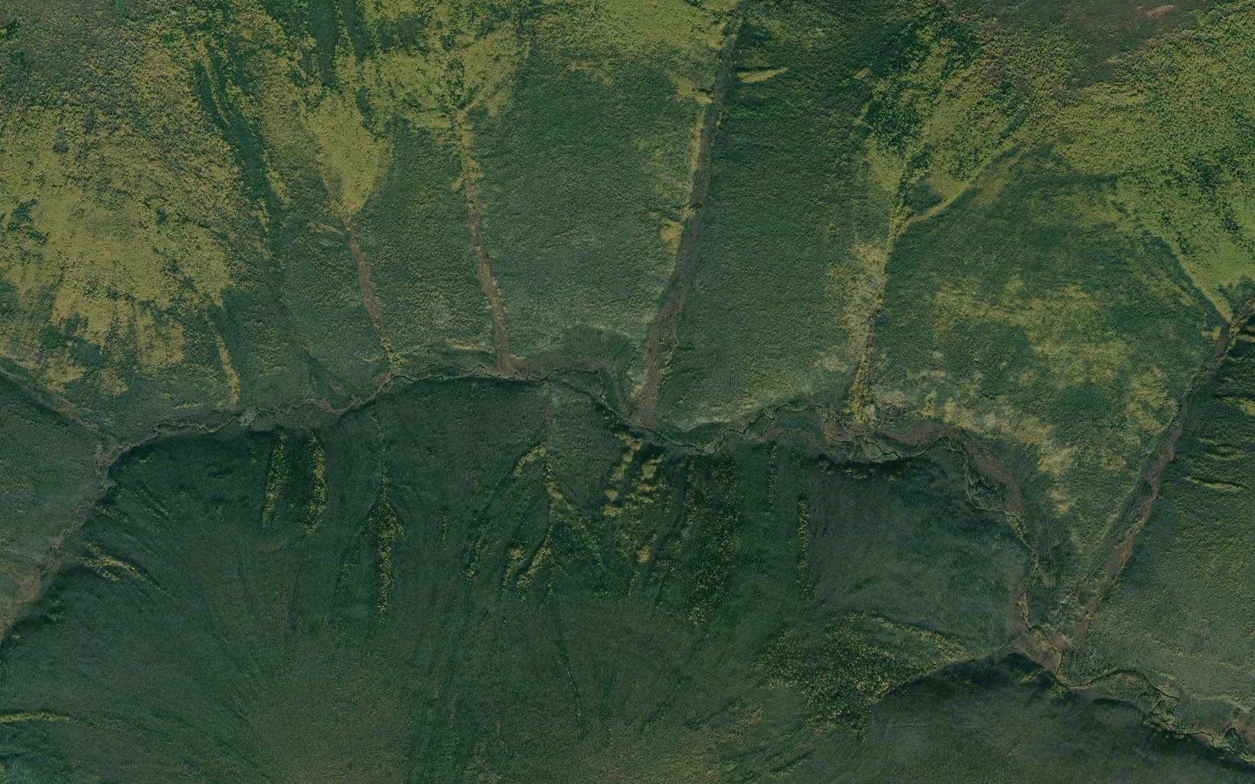 Satellite map of the Gold Run Creek