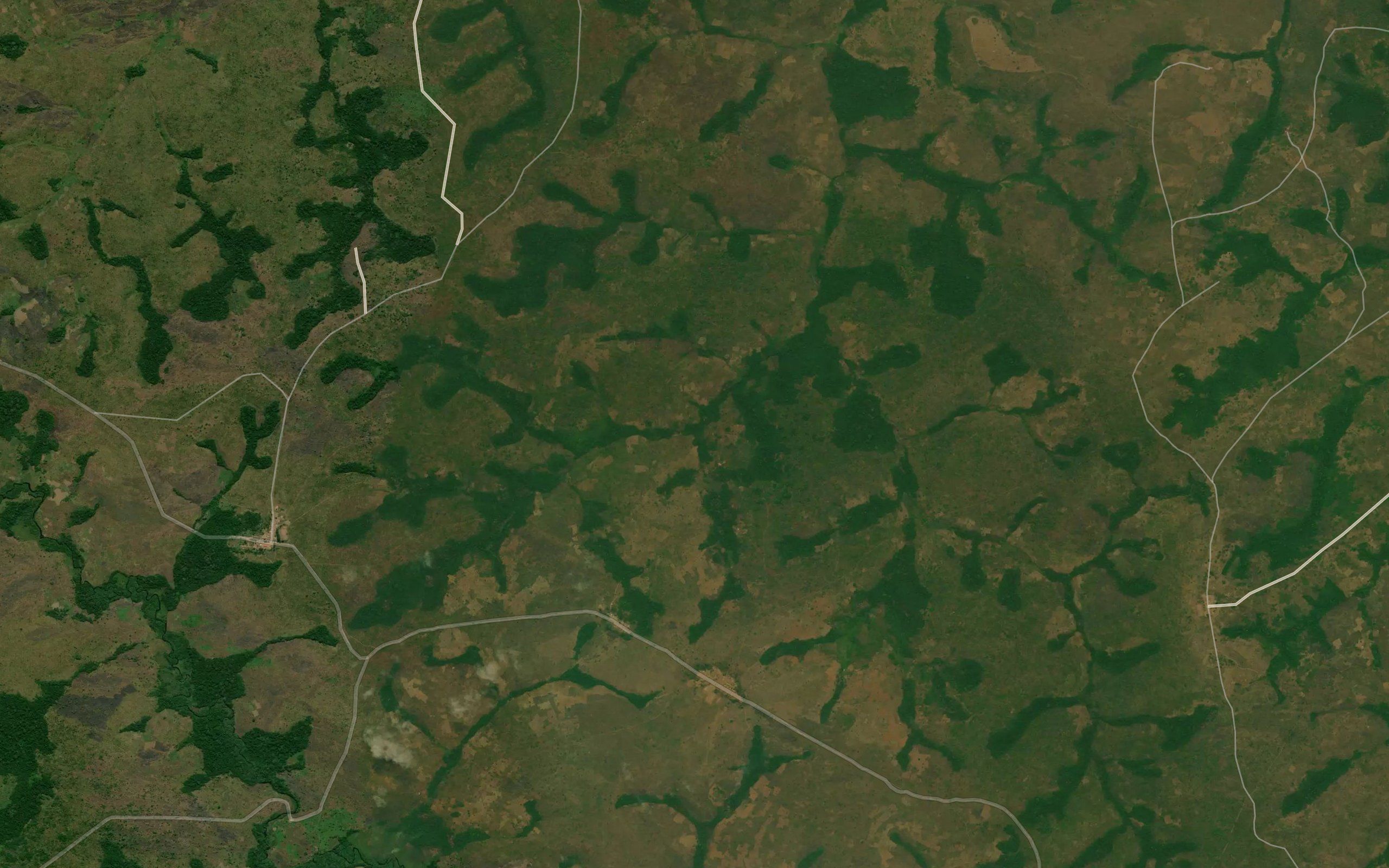 Talua