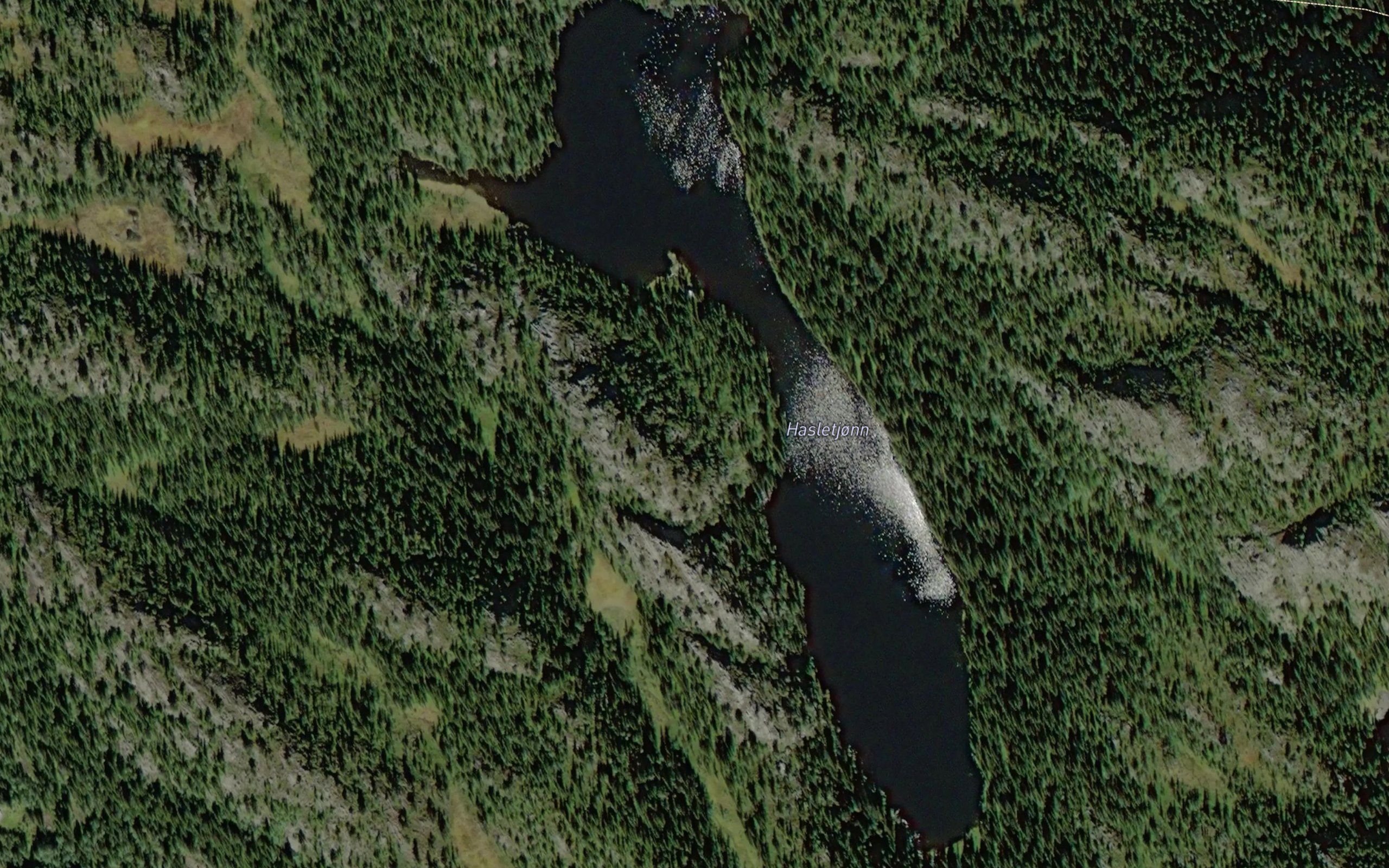 Hasletjorni