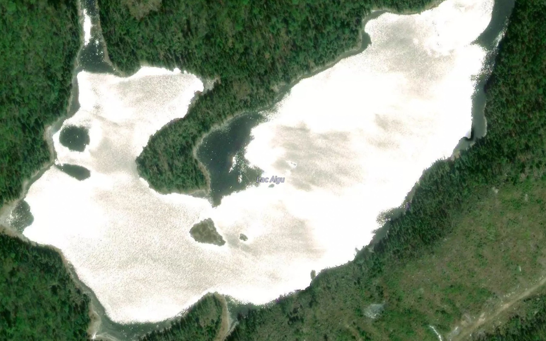 Satellite map of the Lac Aigu