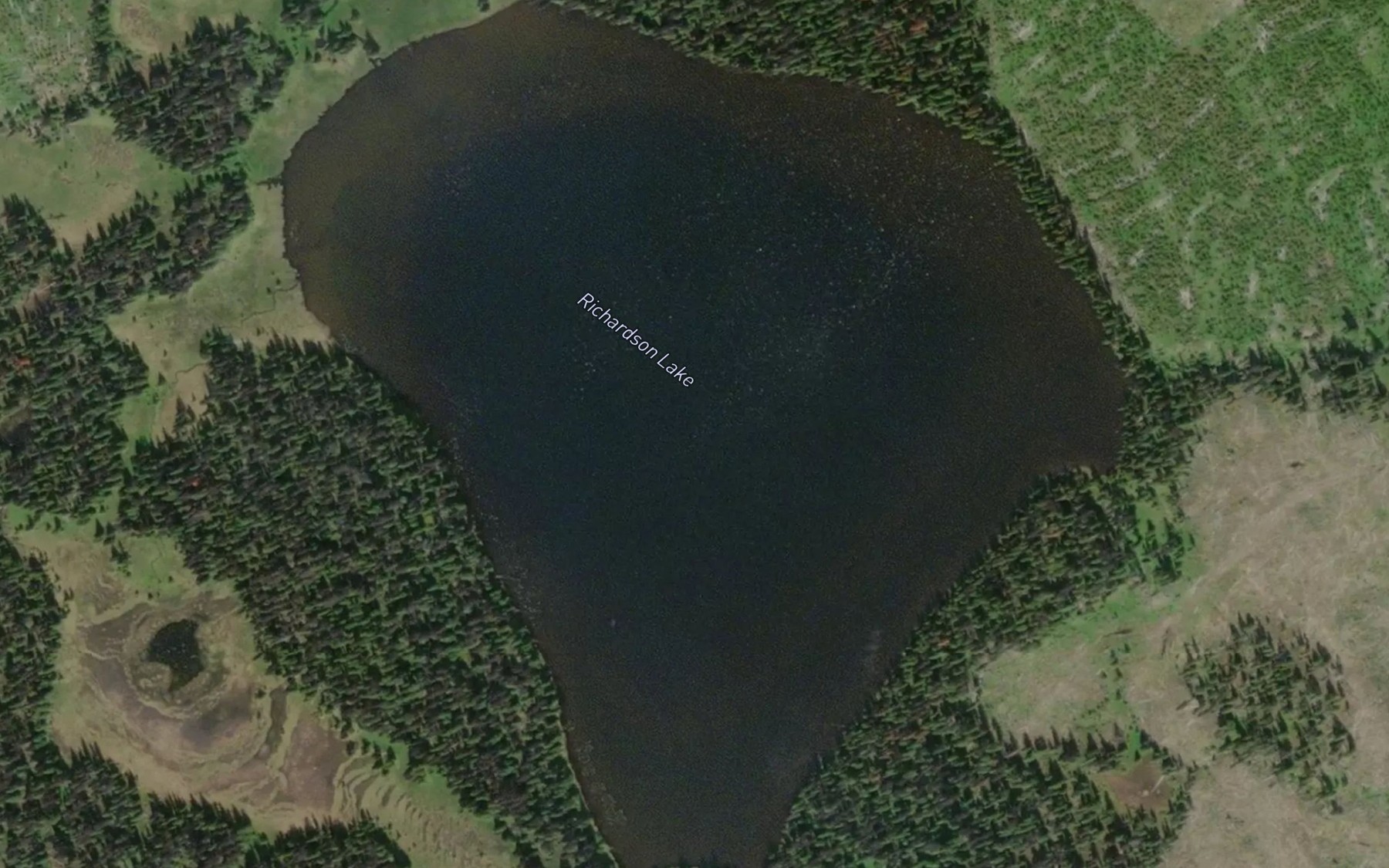 Satellite map of the Richardson Lake