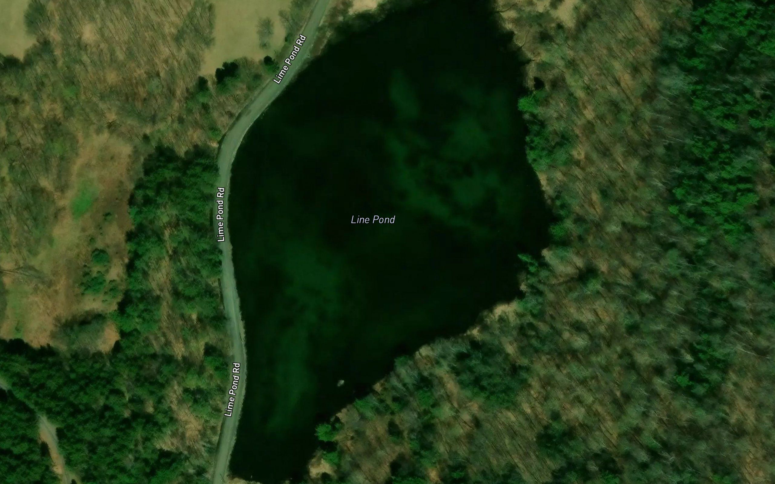 Line Pond