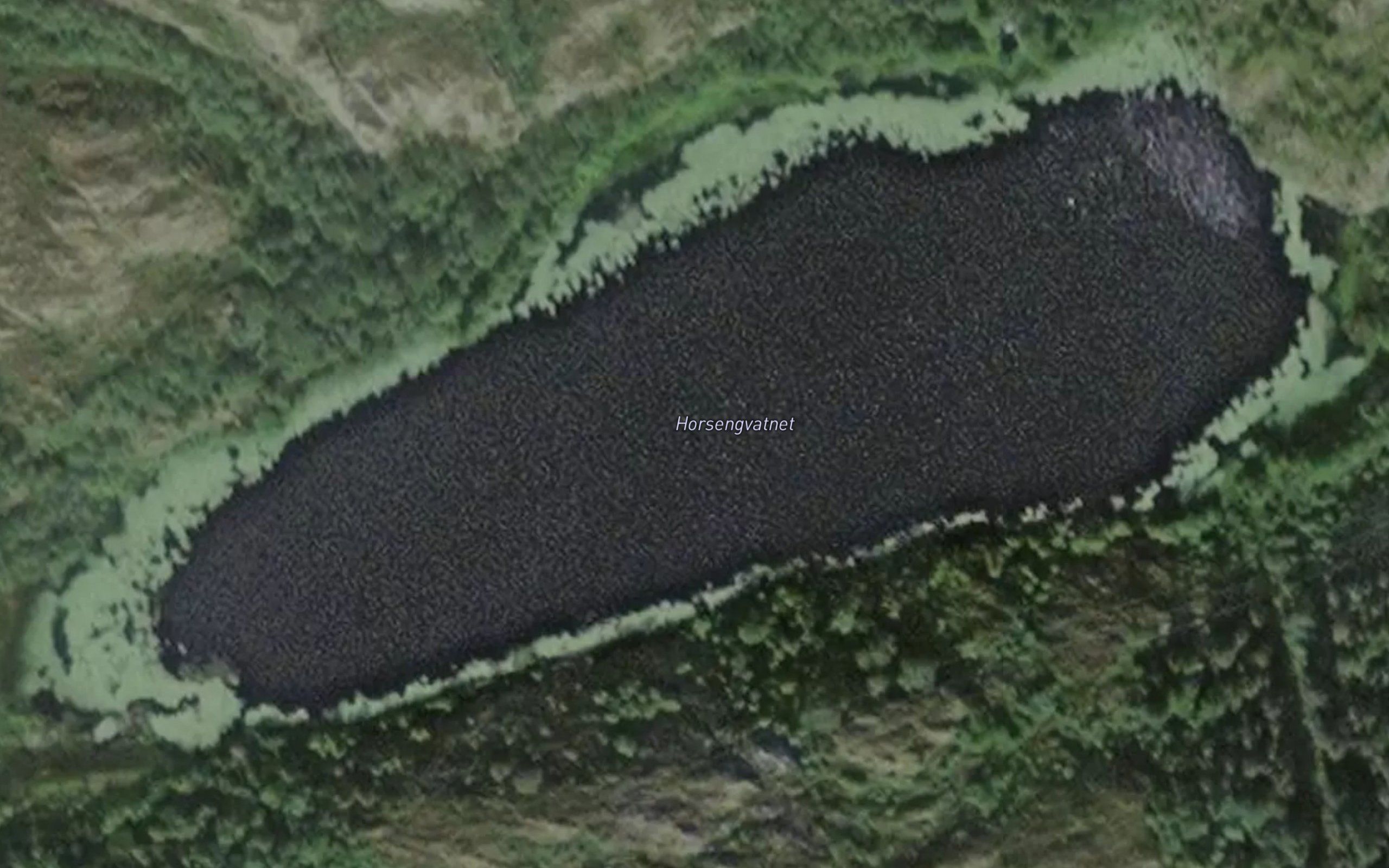 Horsengvatnet