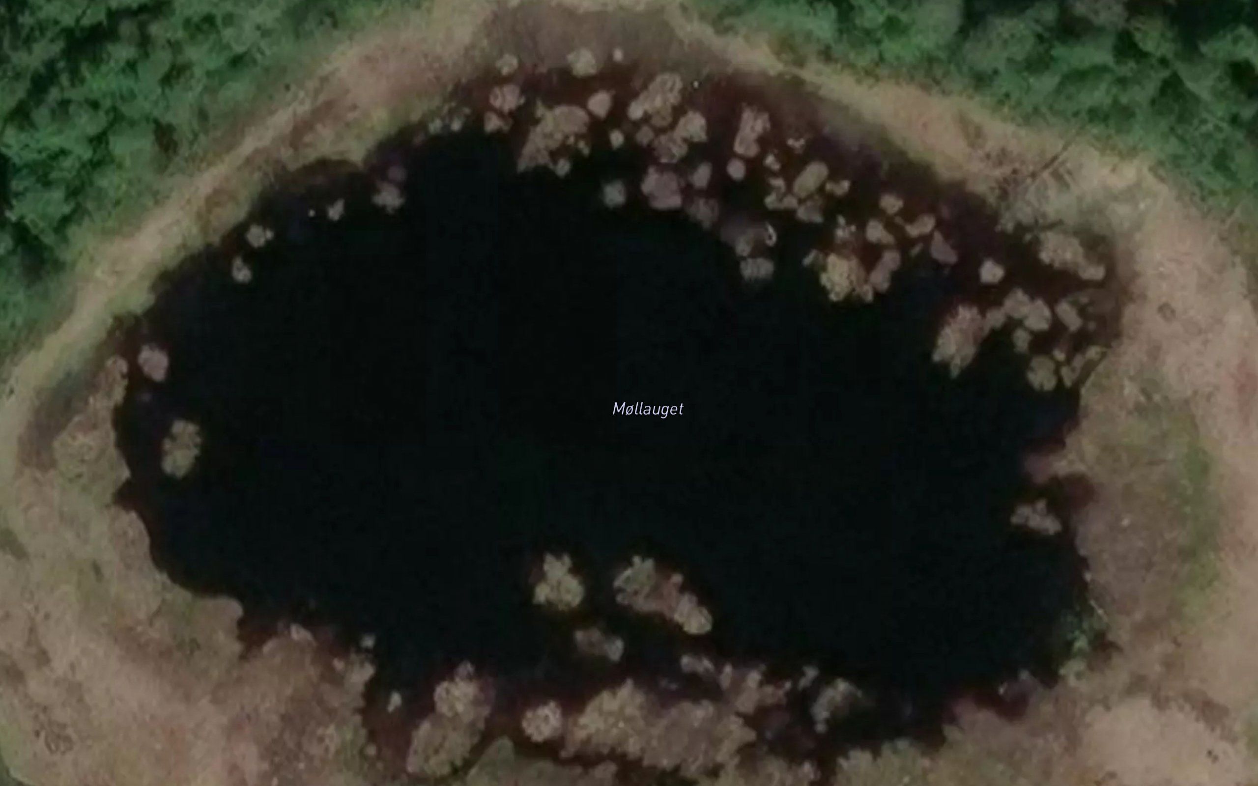 Mollauget