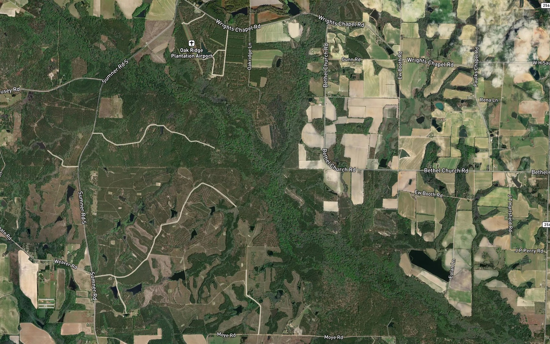 Satellite map of the Lolly Creek