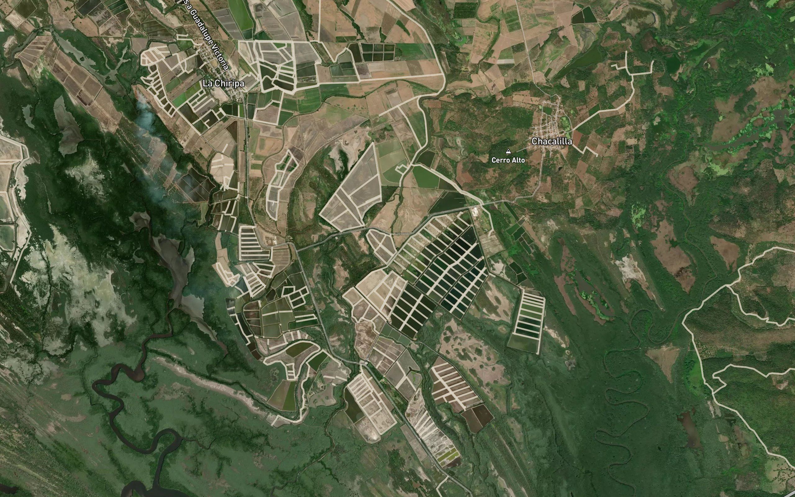 Vena Cabeza de Vaca