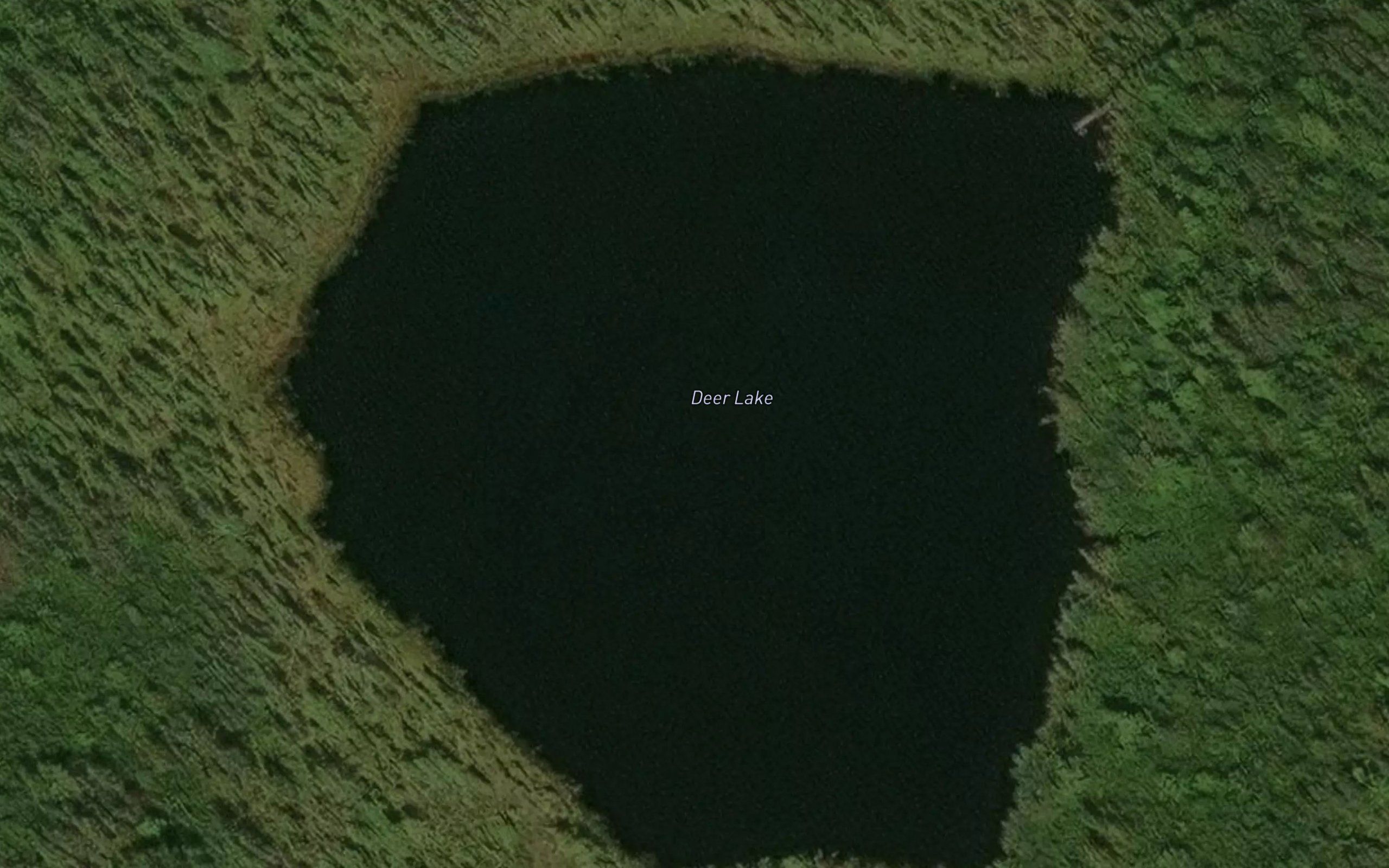 Deer Lake