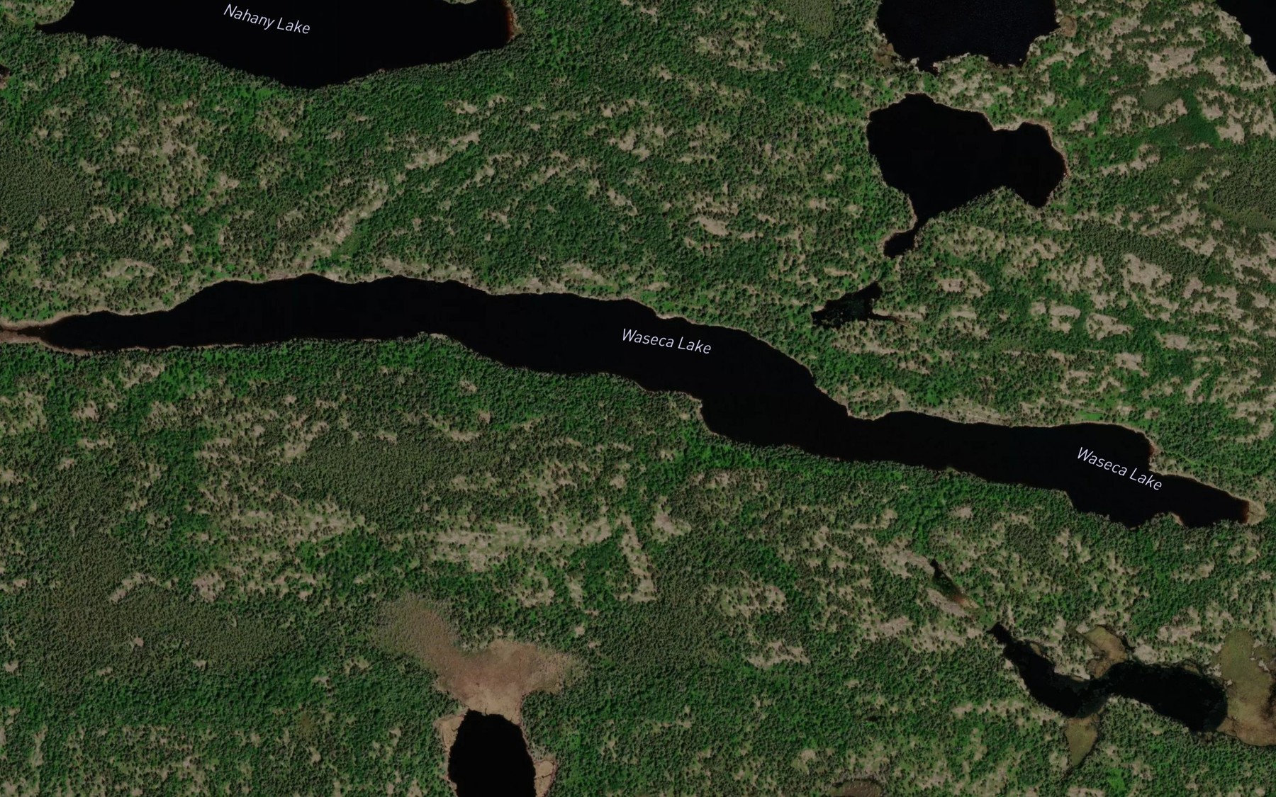 Satellite map of the Waseca Lake