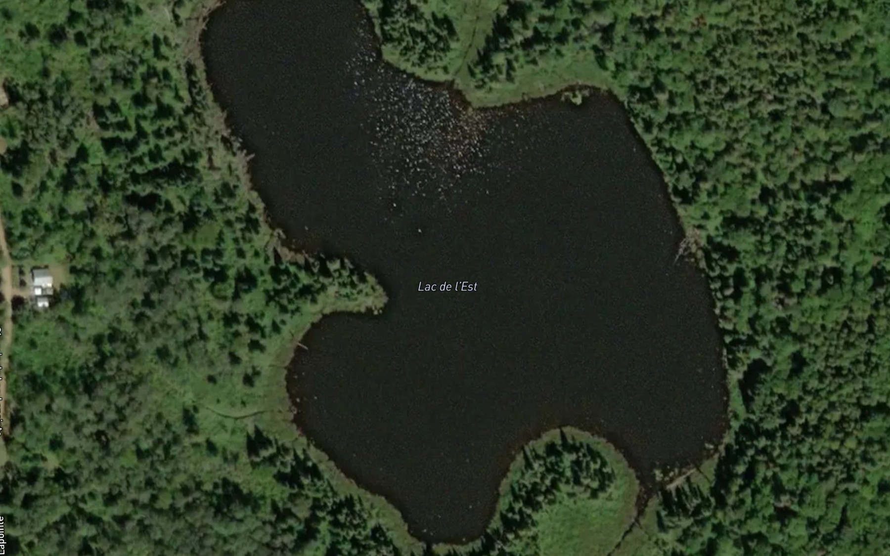 Satellite map of the Lac de l'Est