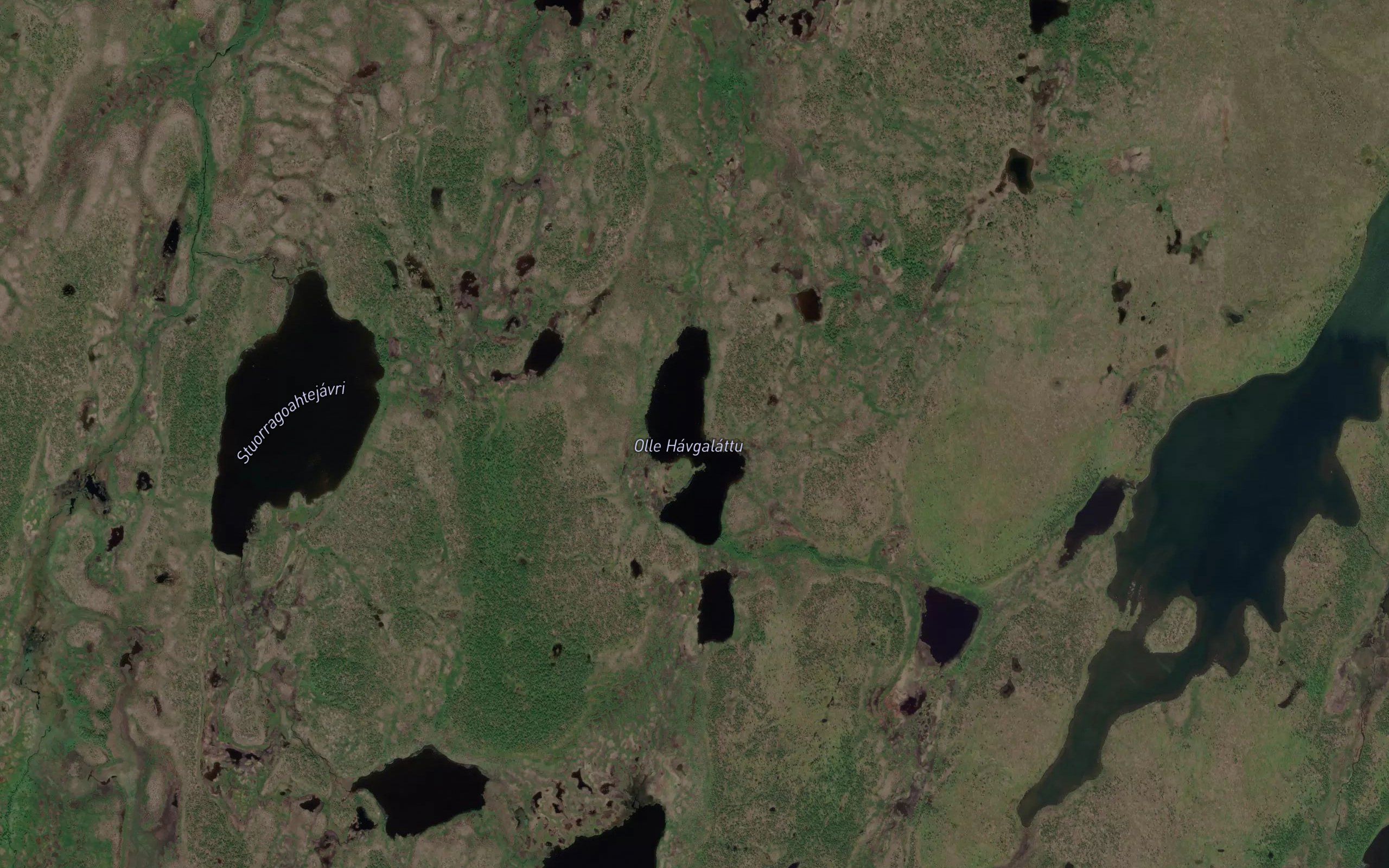 Olle Havgalattu