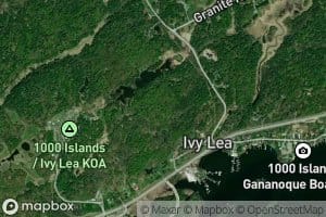 Ivy Bay