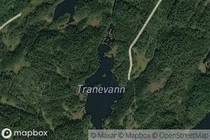 Tranevann