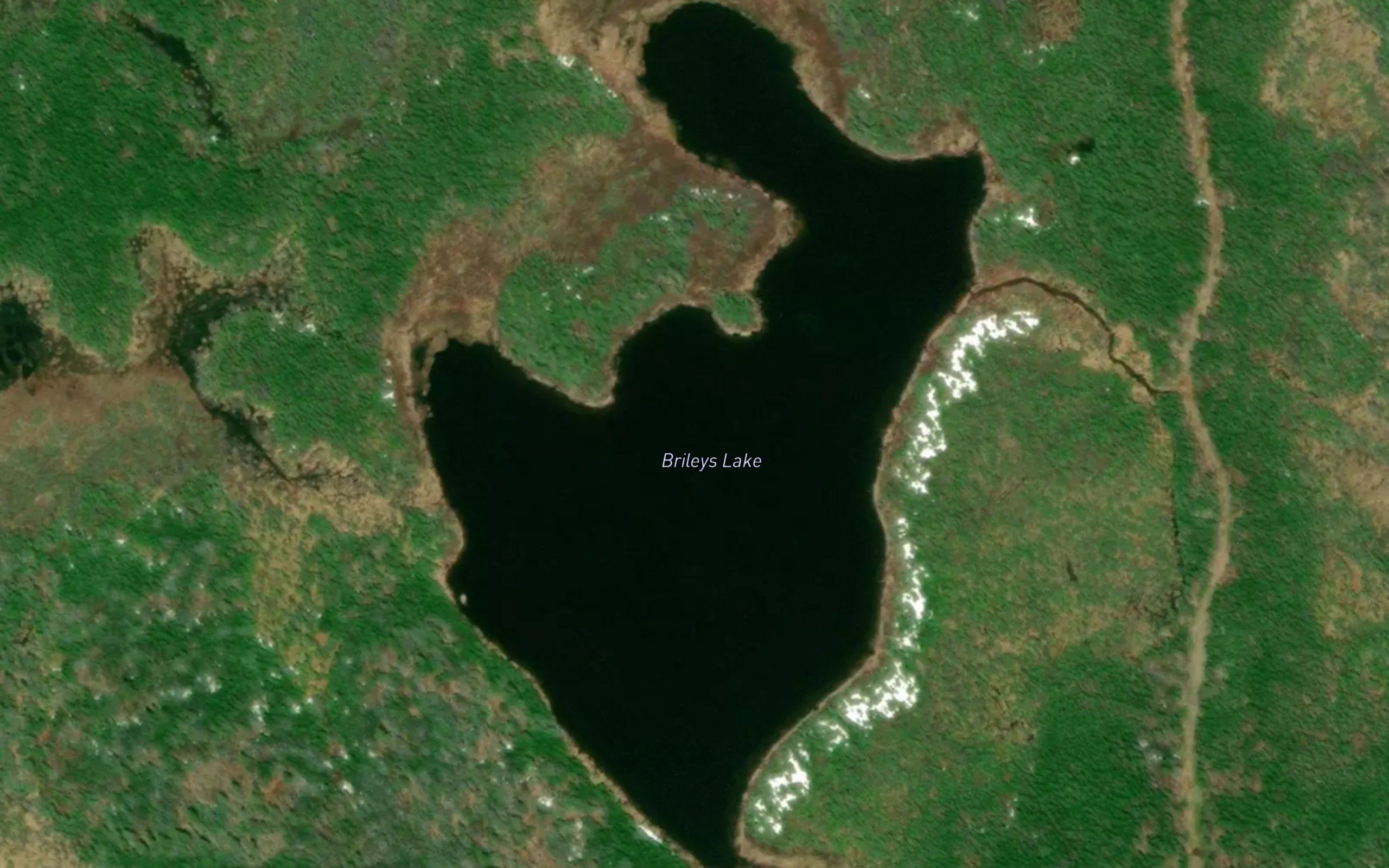 Brileys Lake
