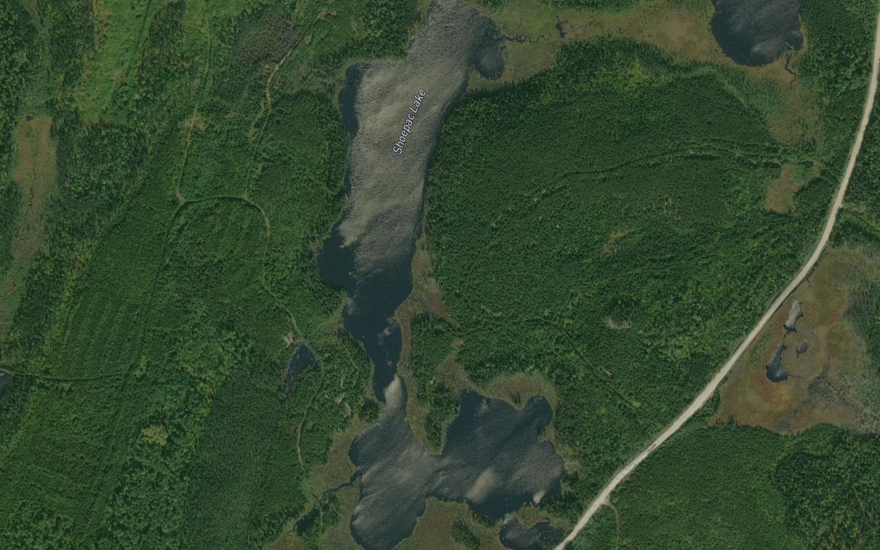 Satellite map of the Shoepac Lake